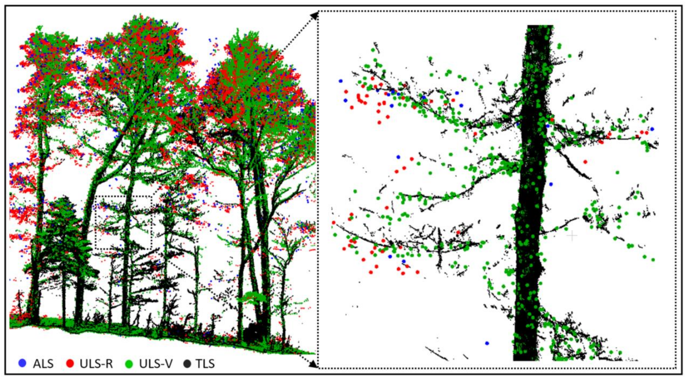 Remotesensing 13 02796 g006