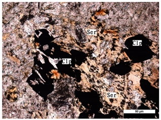 Remotesensing 13 02798 i002