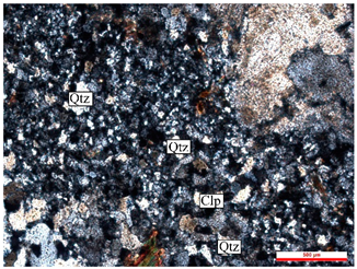 Remotesensing 13 02798 i005