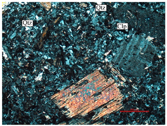 Remotesensing 13 02798 i006