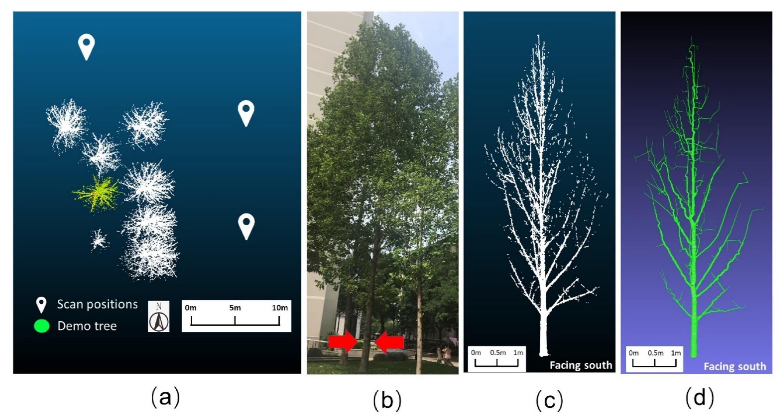 Remotesensing 13 02801 g004