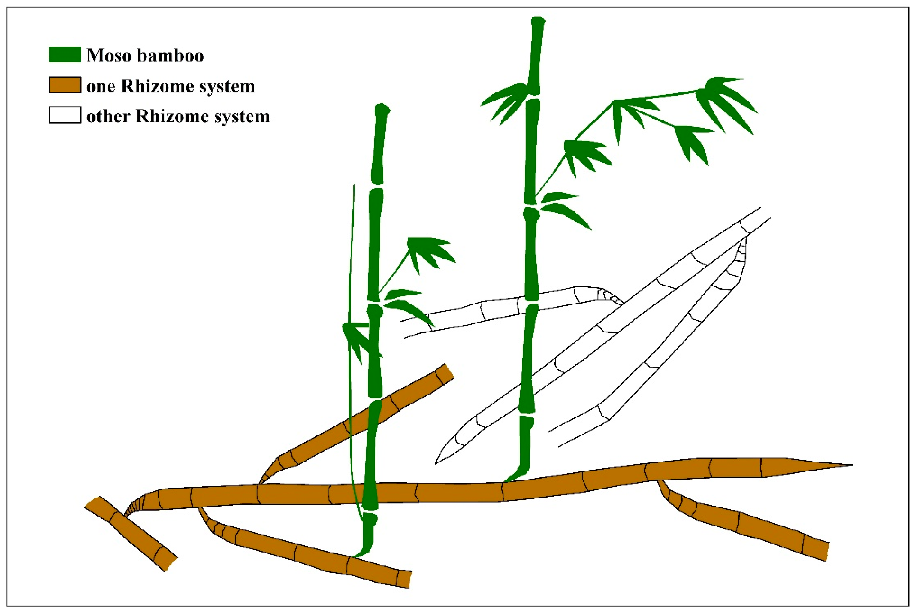 Remotesensing 13 02816 g001