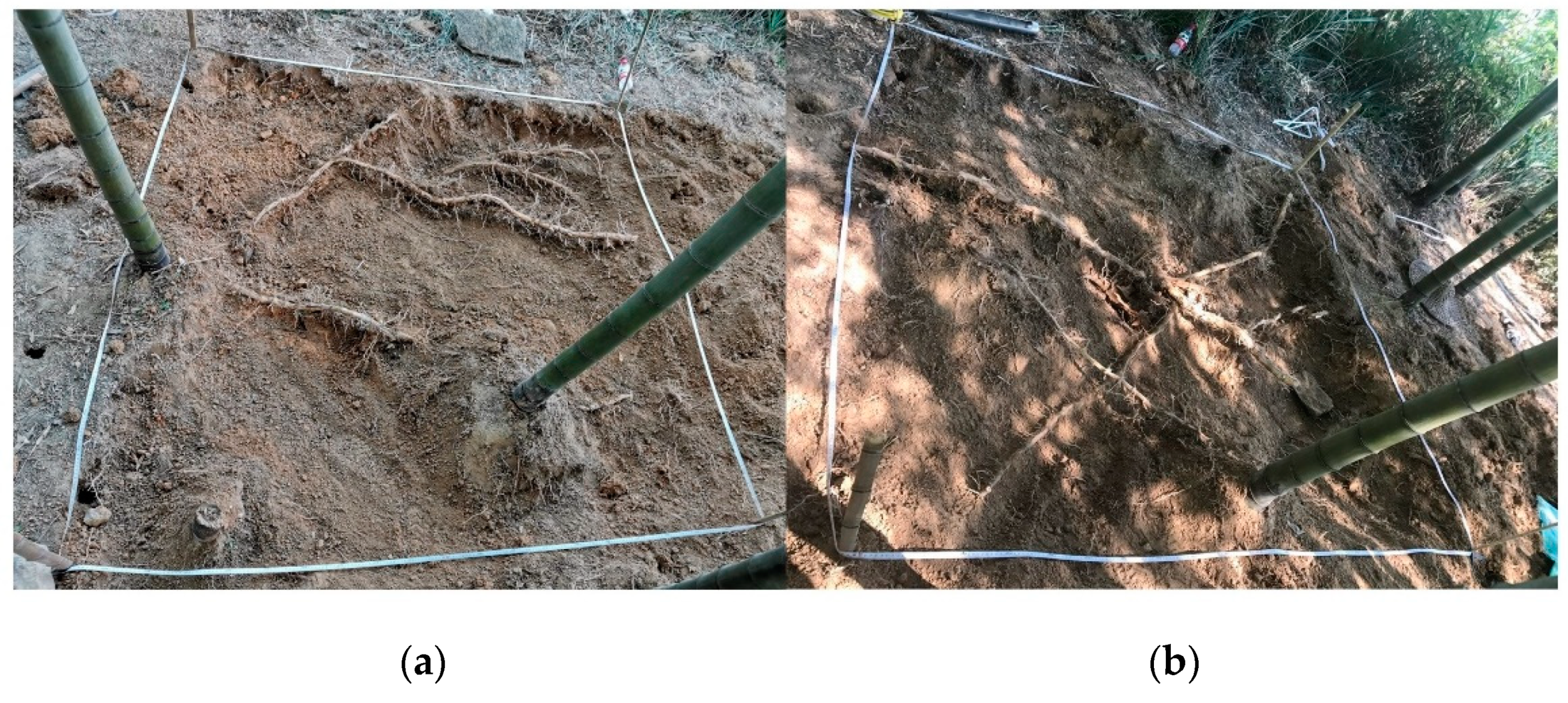 Remotesensing 13 02816 g002