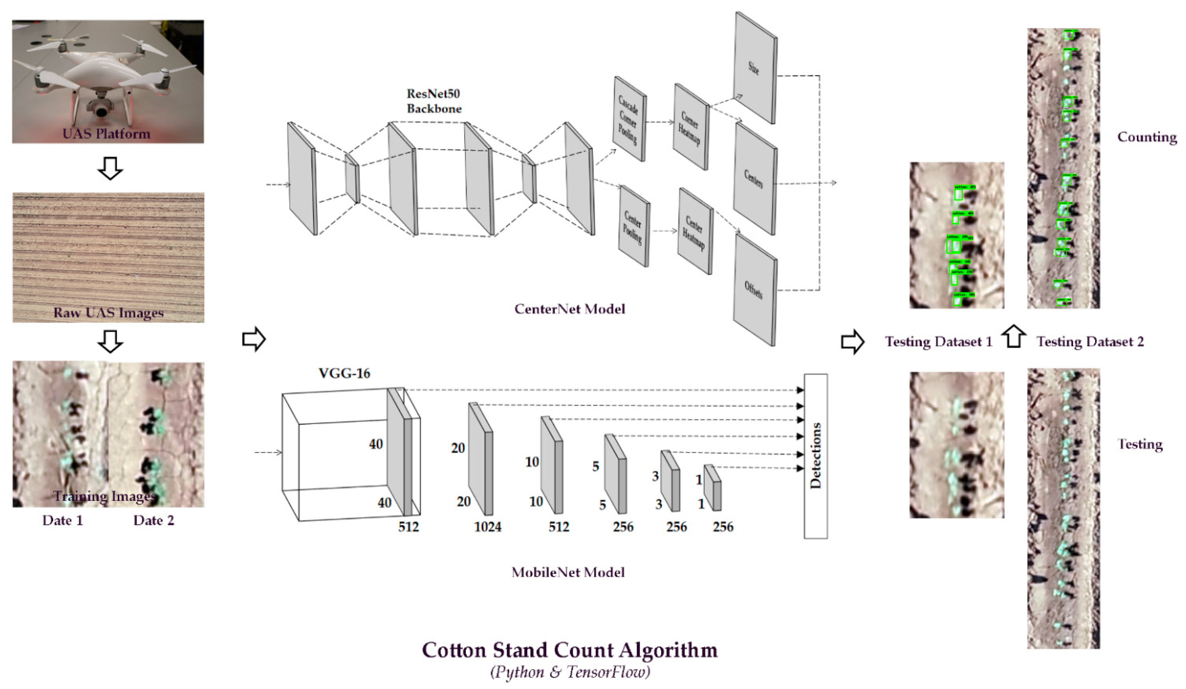 Remotesensing 13 02822 g001