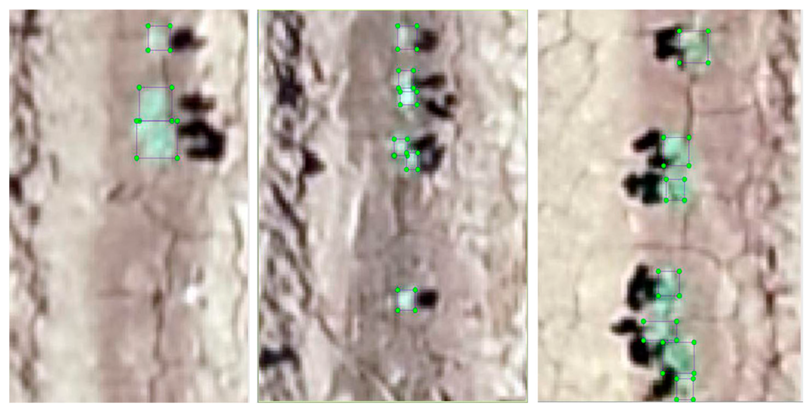 Remotesensing 13 02822 g002