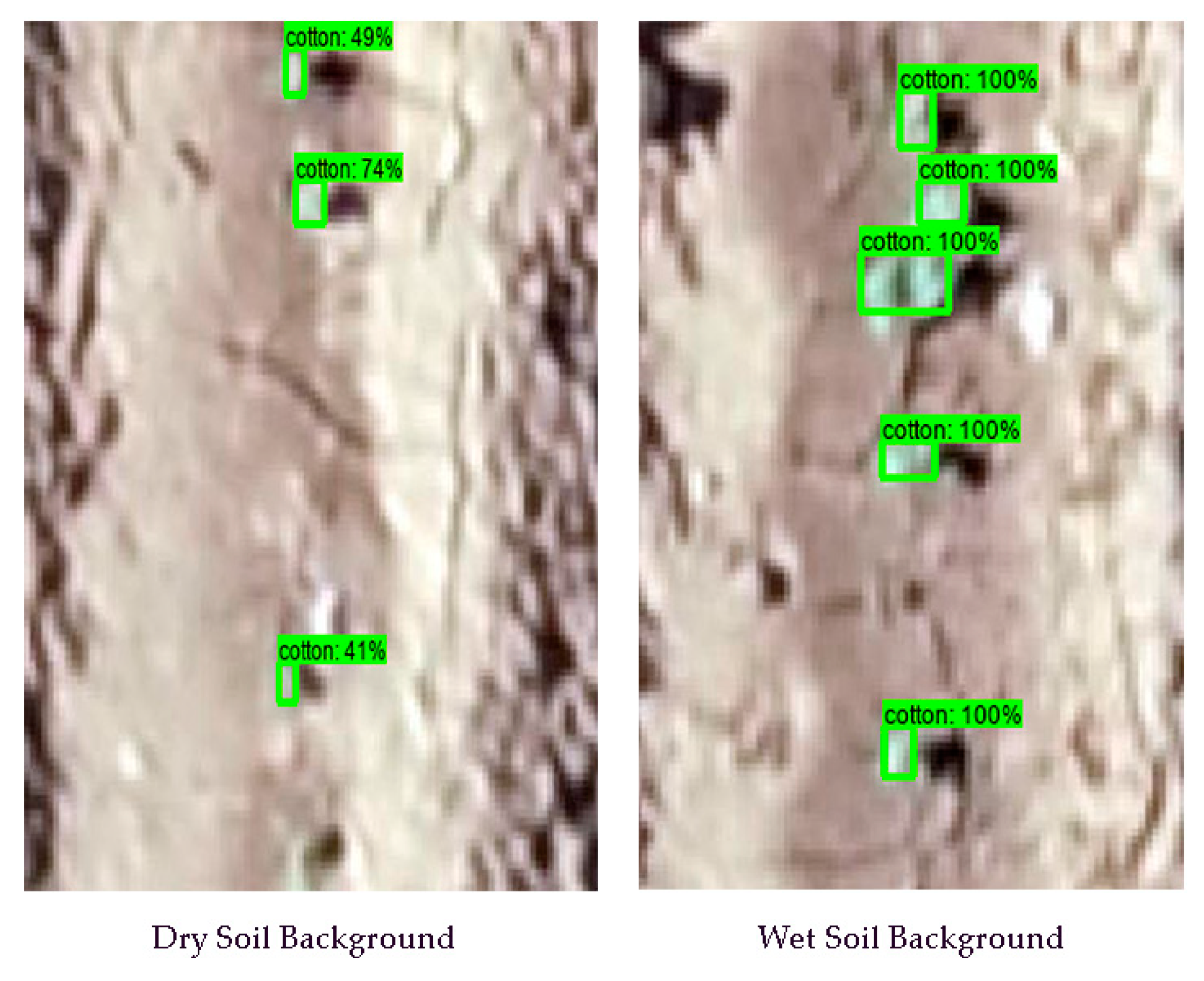 Remotesensing 13 02822 g006