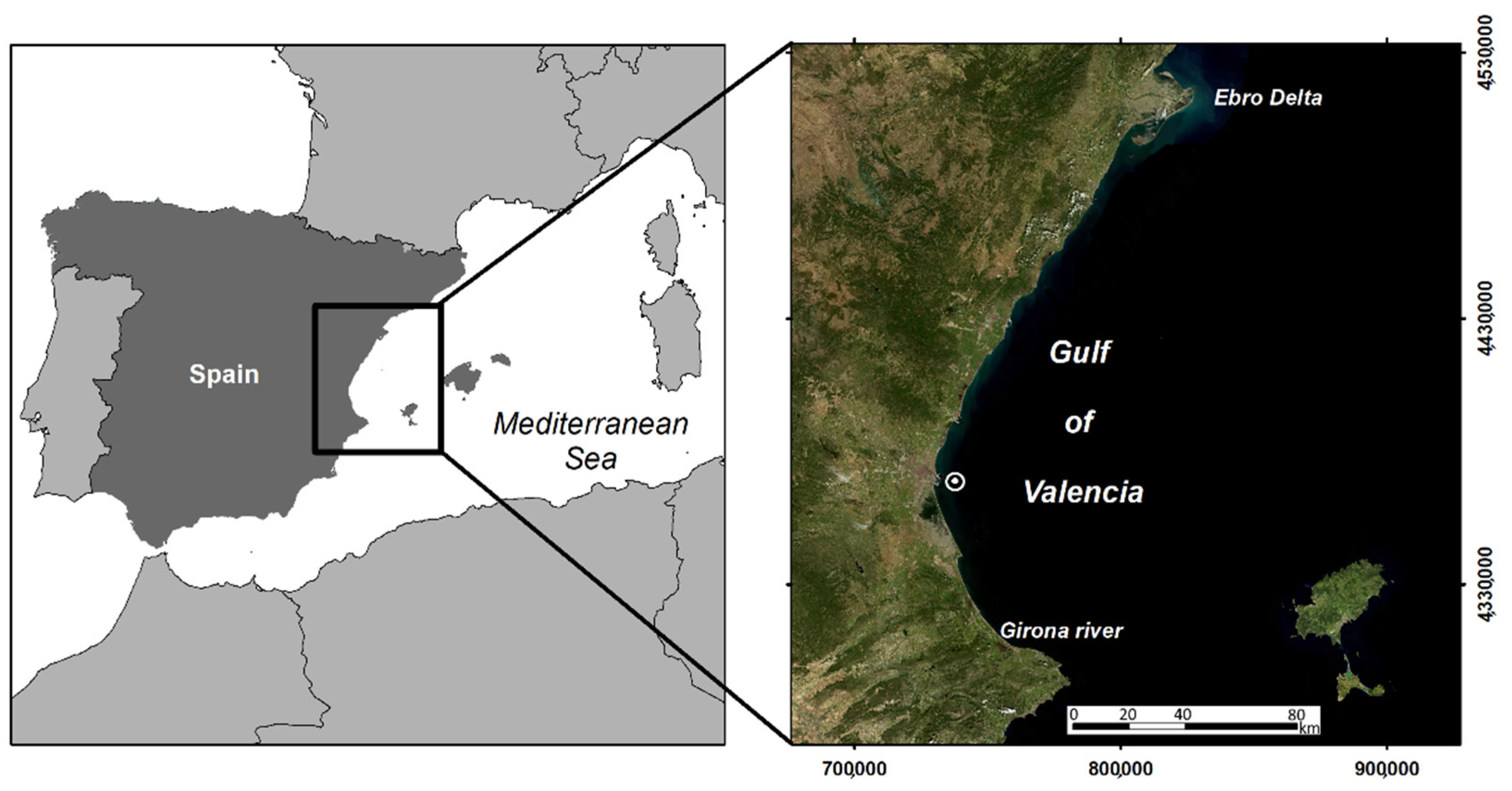 Remotesensing 13 02829 g001