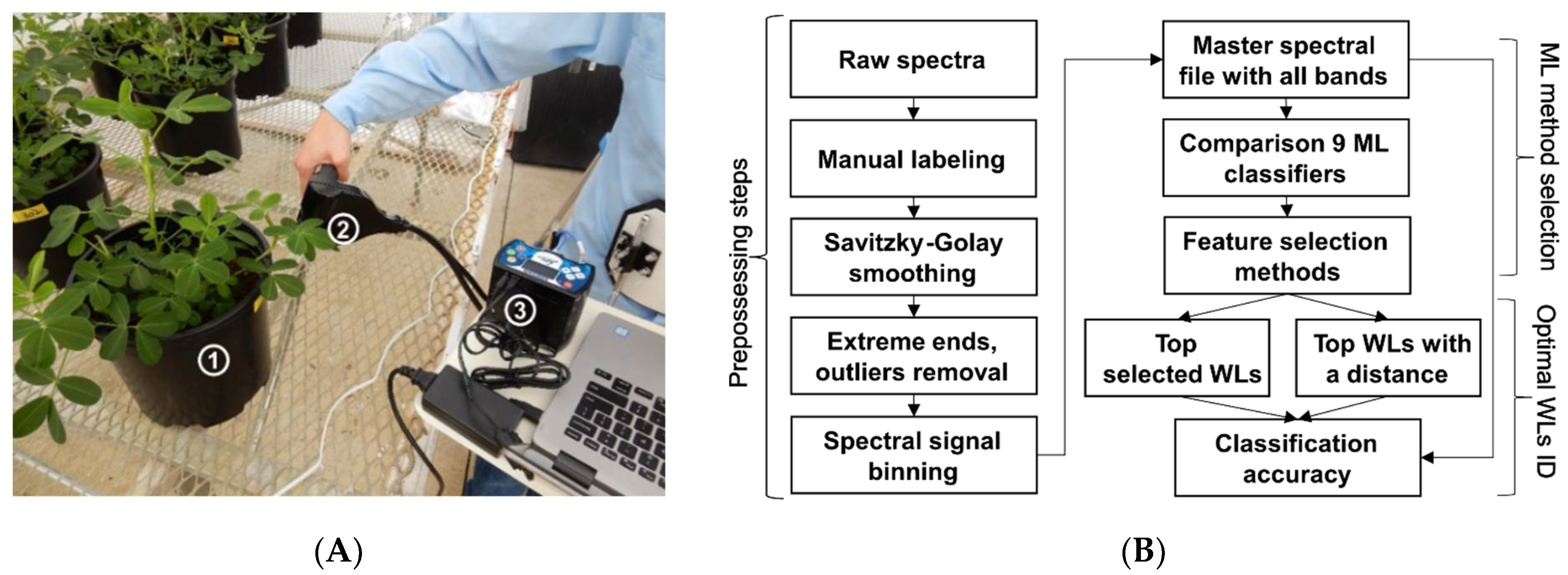 Remotesensing 13 02833 g001