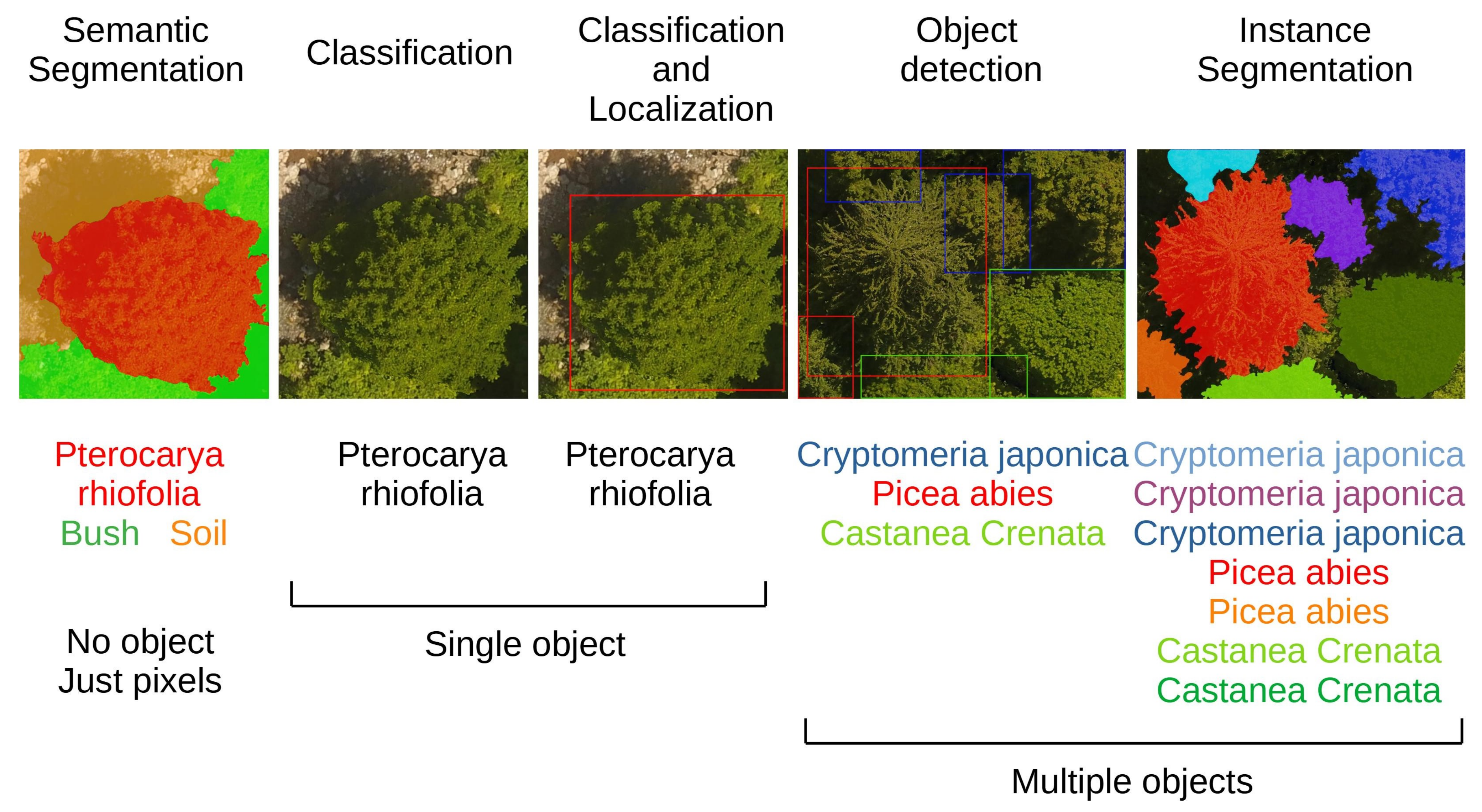 Remotesensing 13 02837 g003