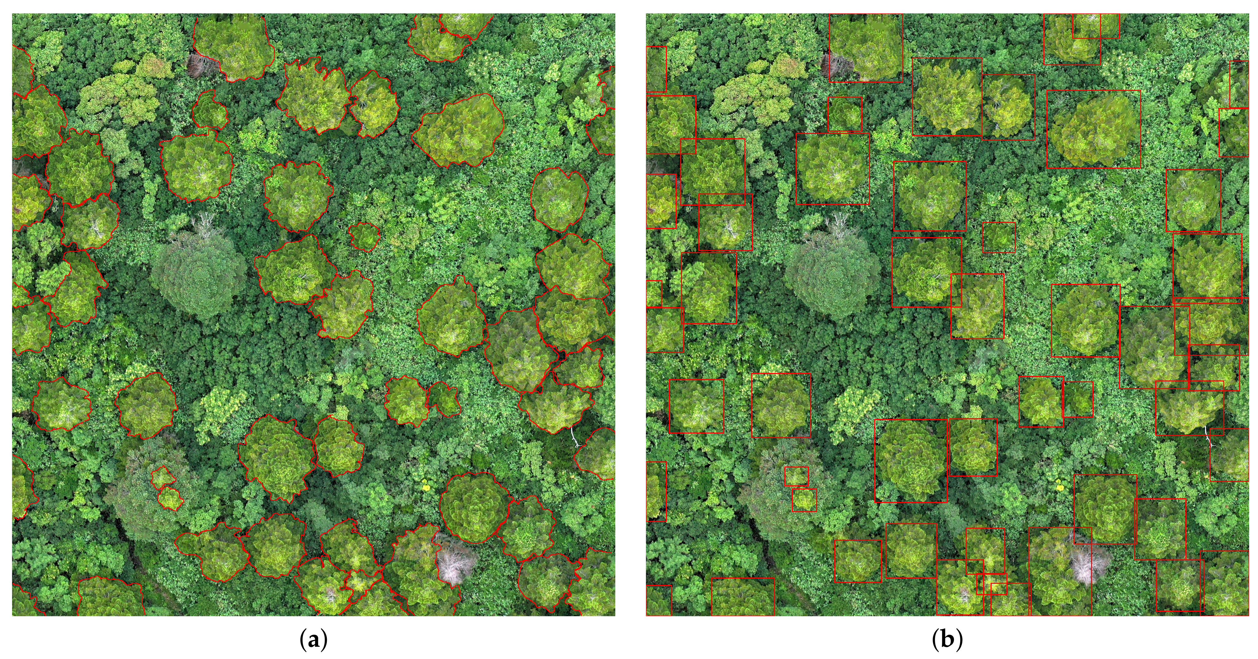 Remotesensing 13 02837 g004