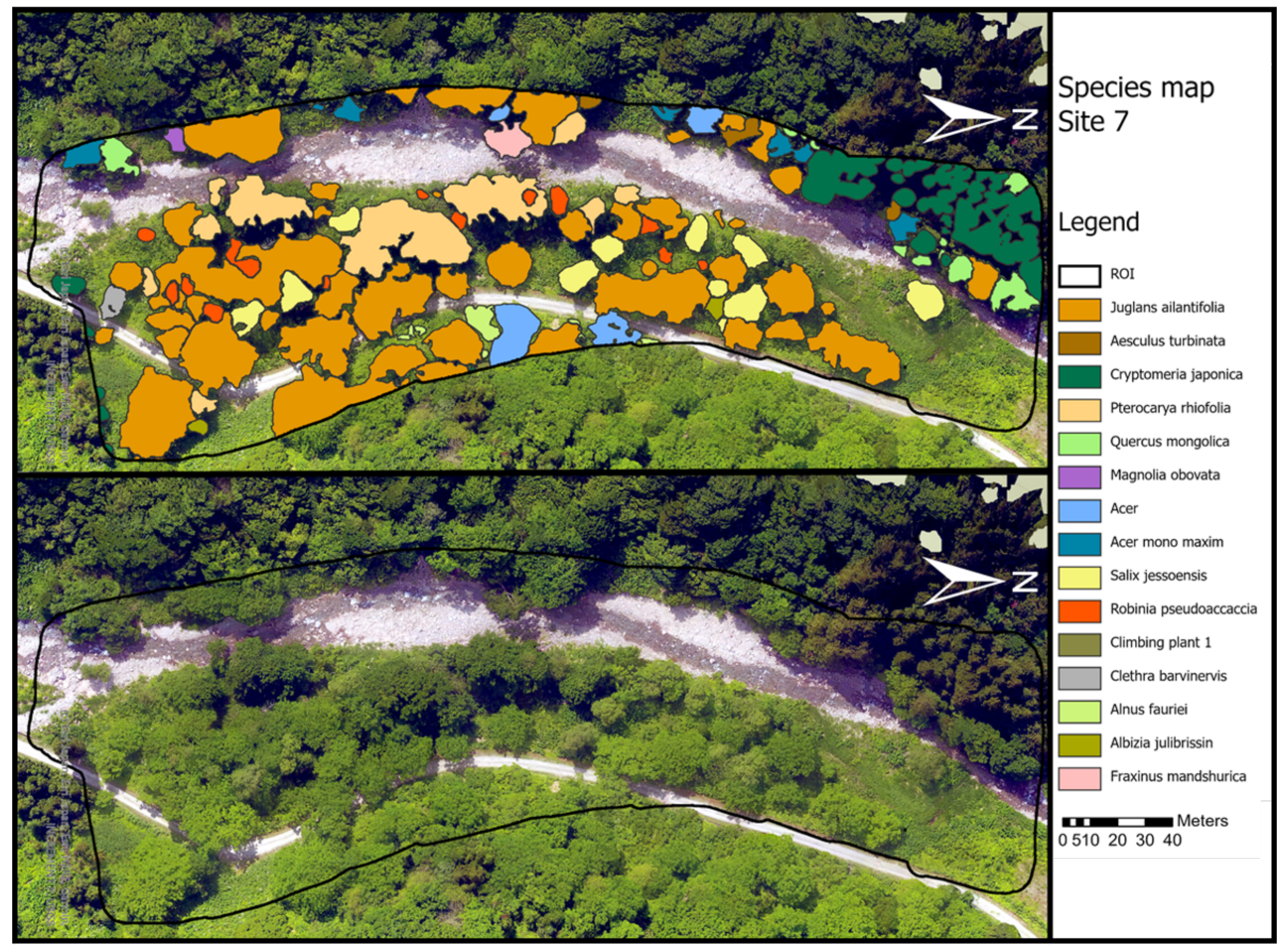 Remotesensing 13 02837 g007