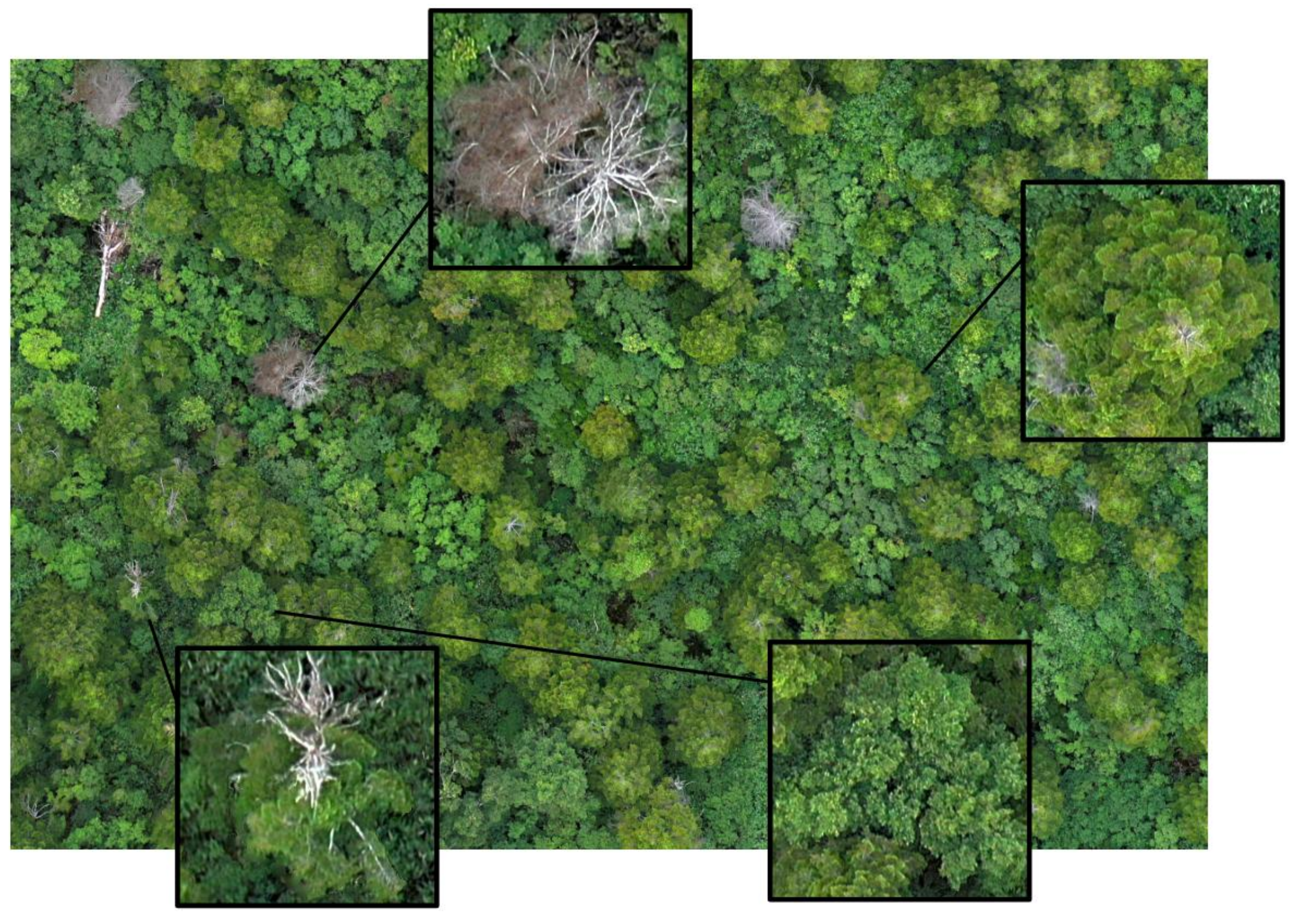 Remotesensing 13 02837 g008