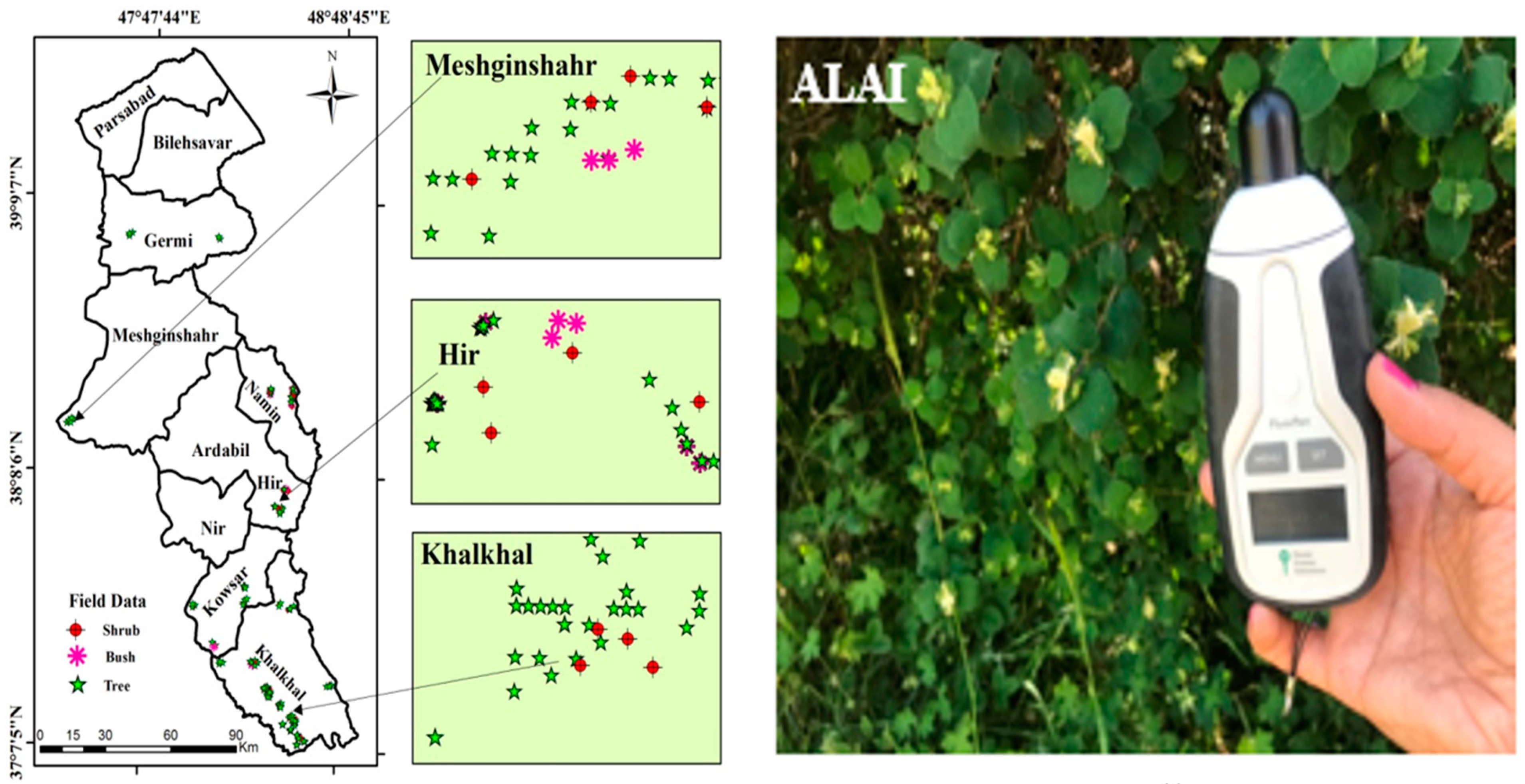Remotesensing 13 02879 g003