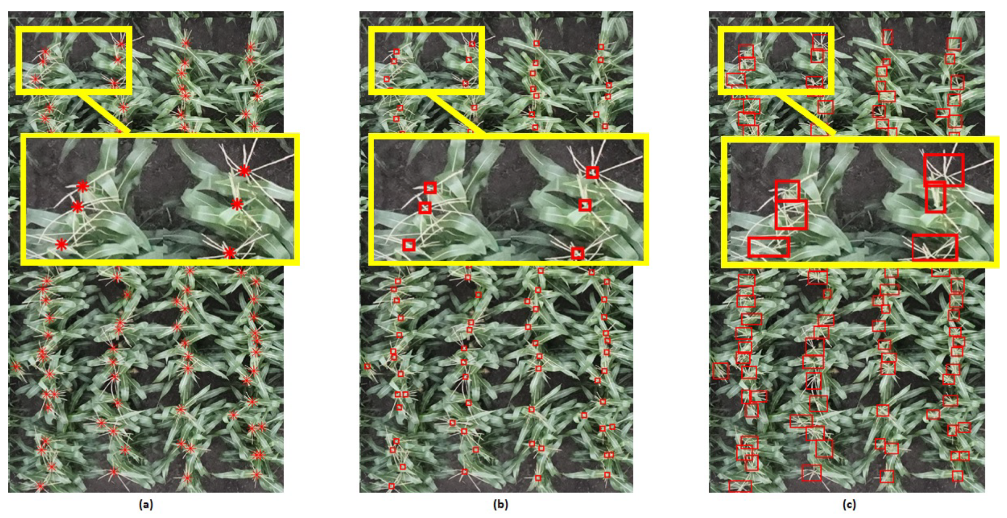 Remotesensing 13 02881 g002