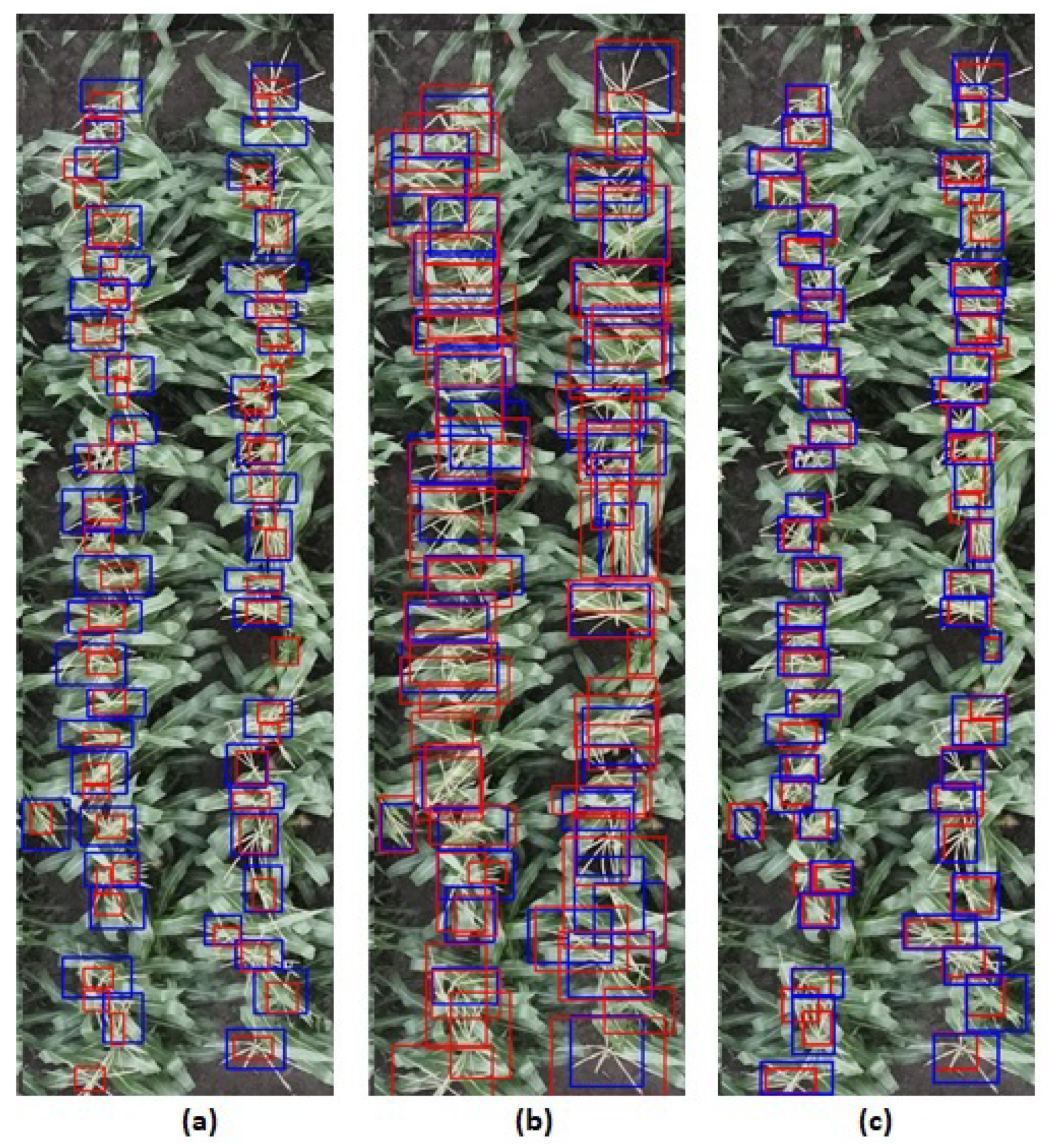 Remotesensing 13 02881 g010