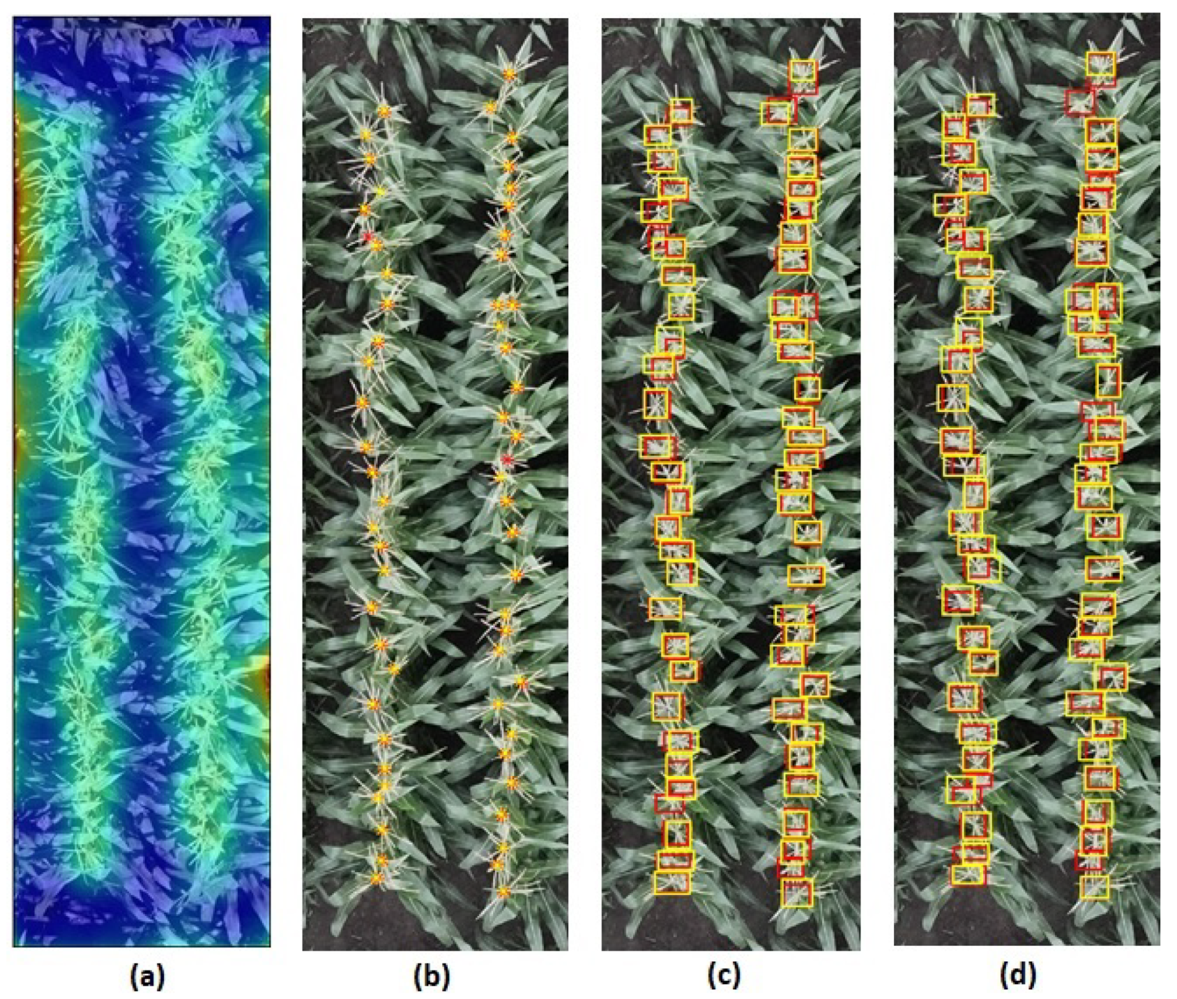 Remotesensing 13 02881 g013