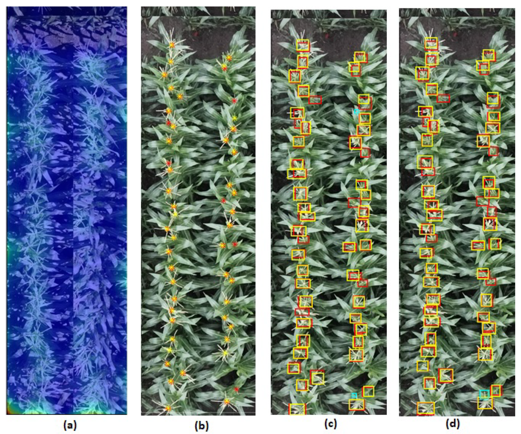 Remotesensing 13 02881 g014