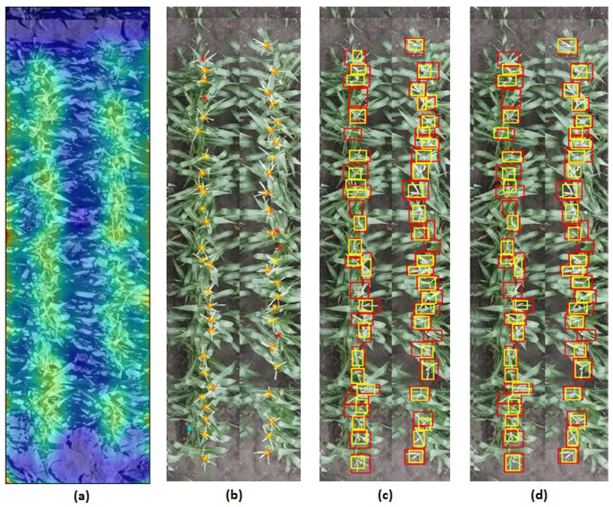 Remotesensing 13 02881 g015