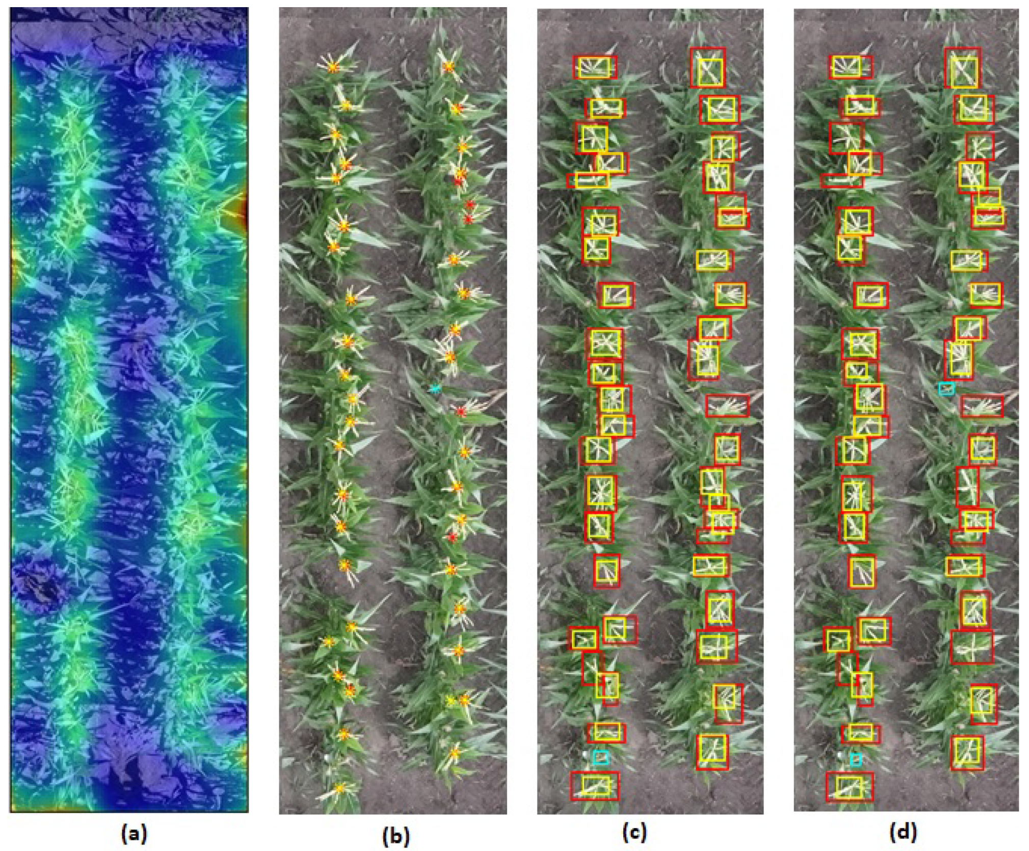 Remotesensing 13 02881 g016
