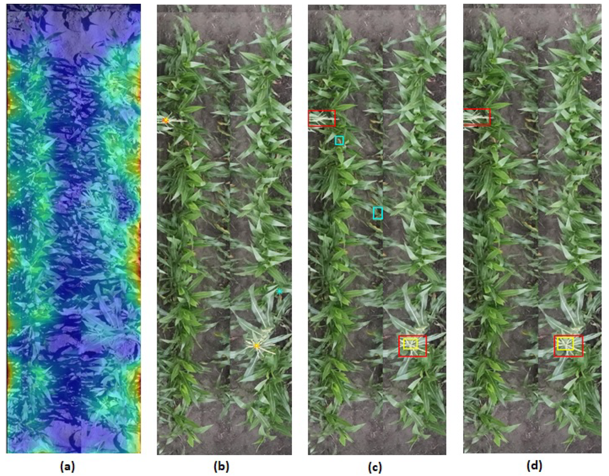 Remotesensing 13 02881 g017