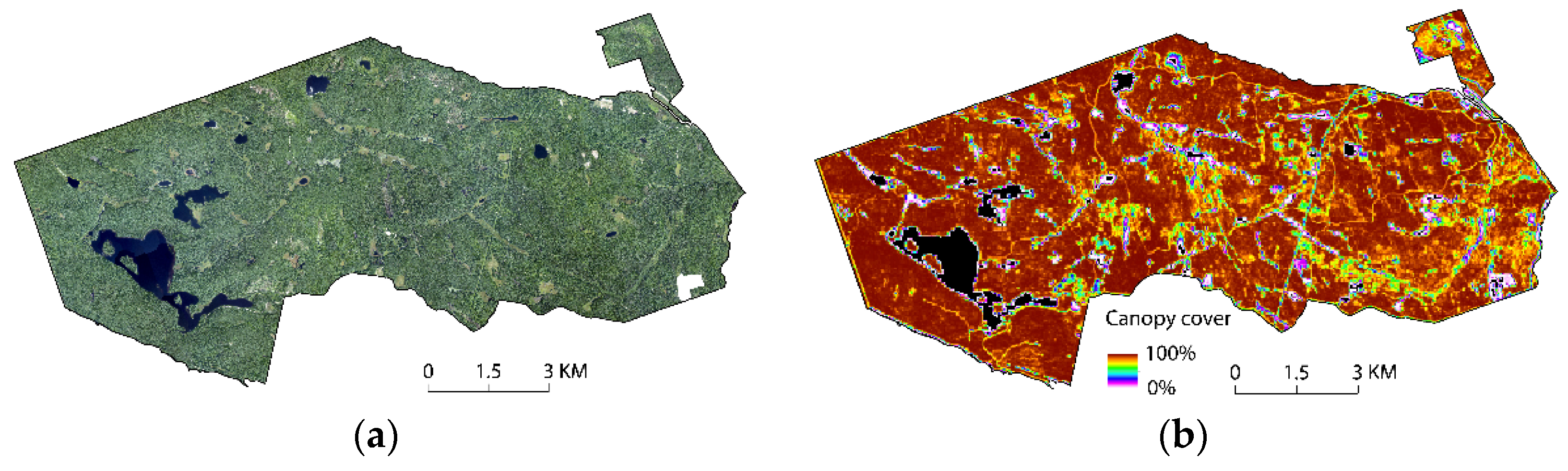 Remotesensing 13 02882 g001 Remotesensing 13 02882 g001