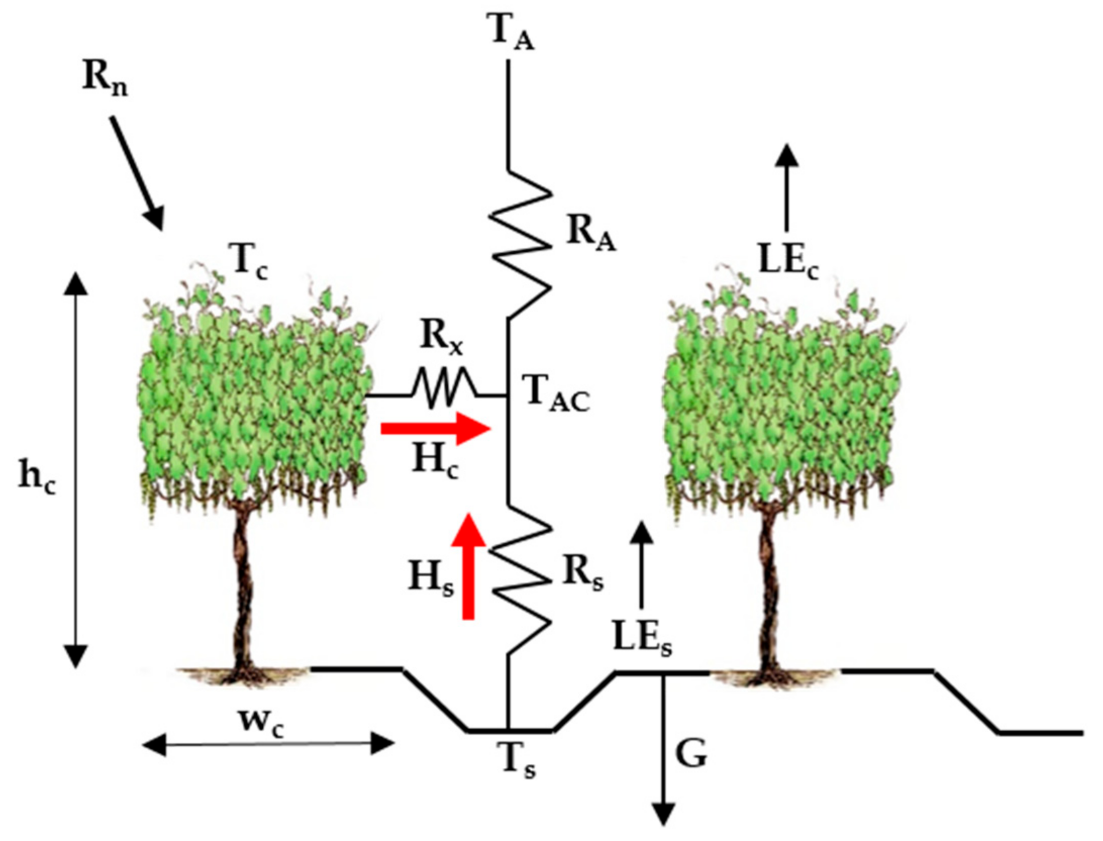 Remotesensing 13 02887 g001