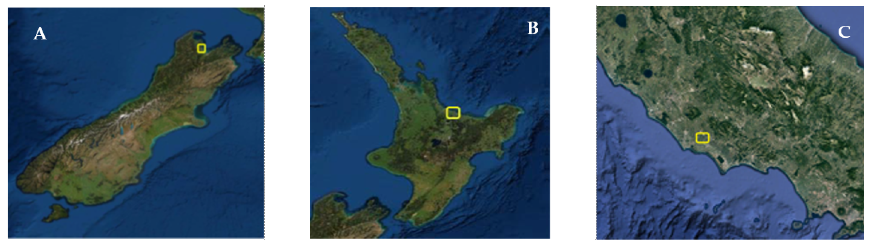 Remotesensing 13 02889 g002