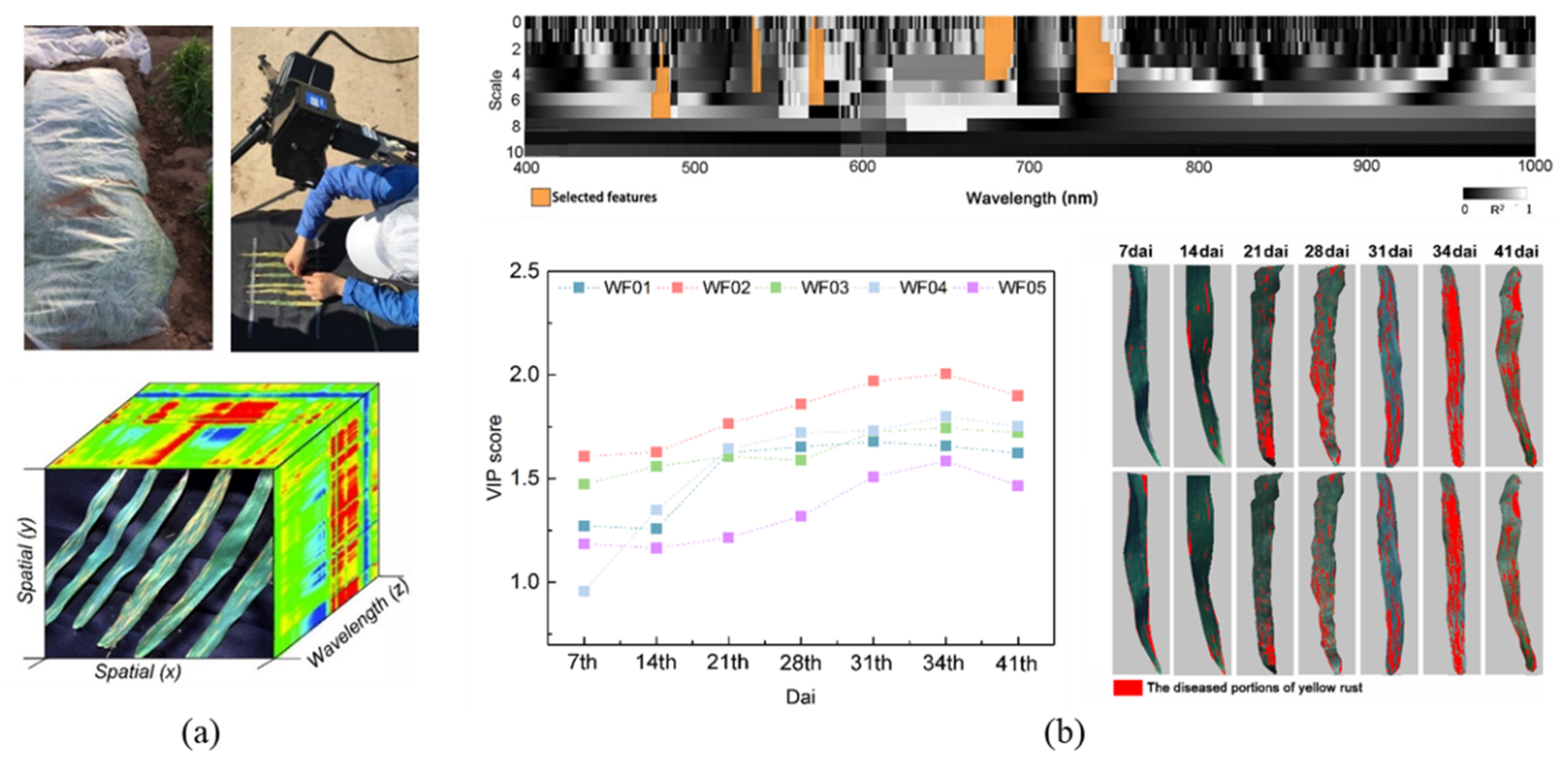 Remotesensing 13 02889 g004