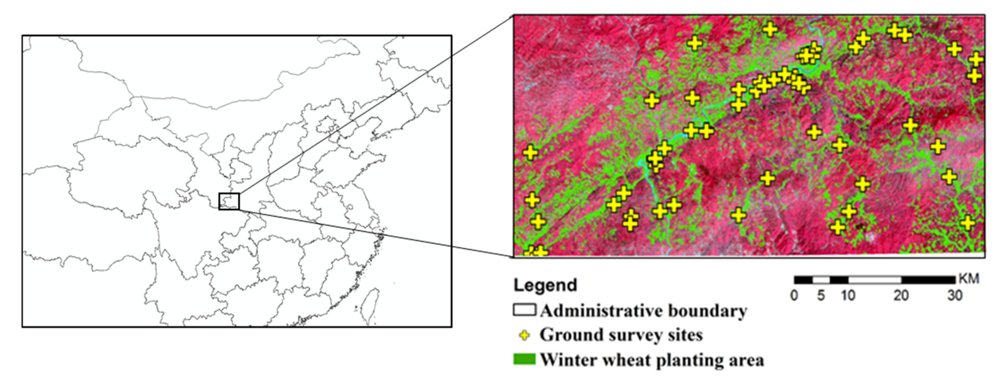 Remotesensing 13 02889 g006