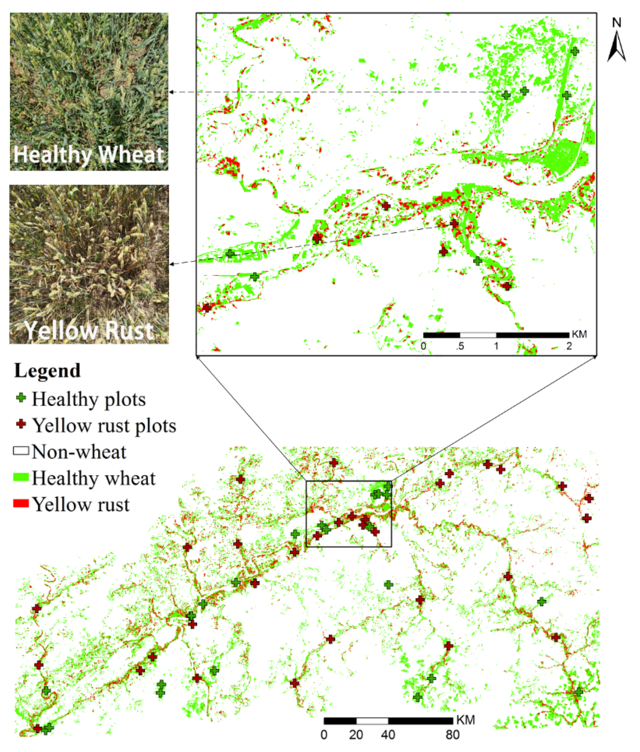 Remotesensing 13 02889 g011