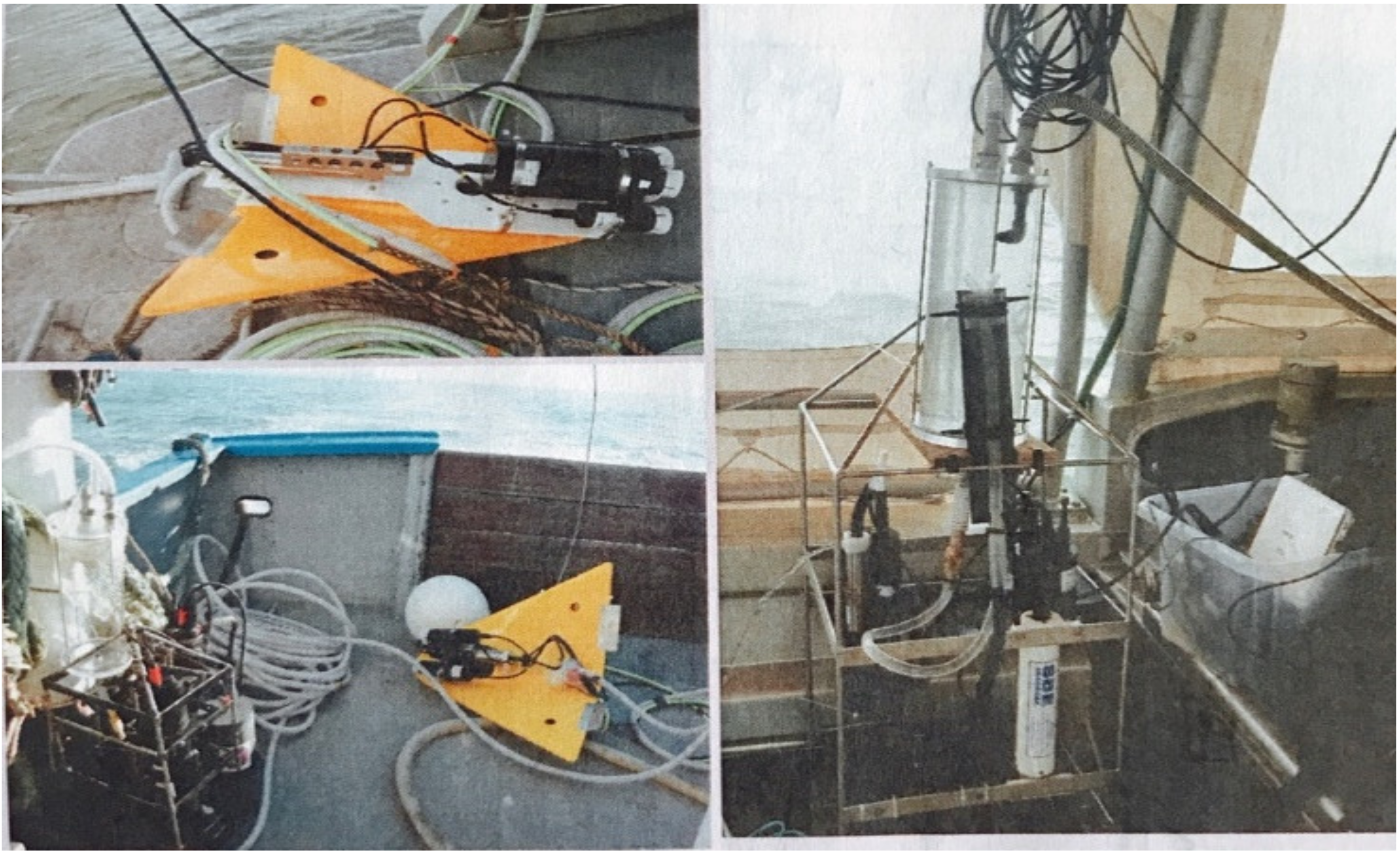 Remotesensing 13 02899 g004