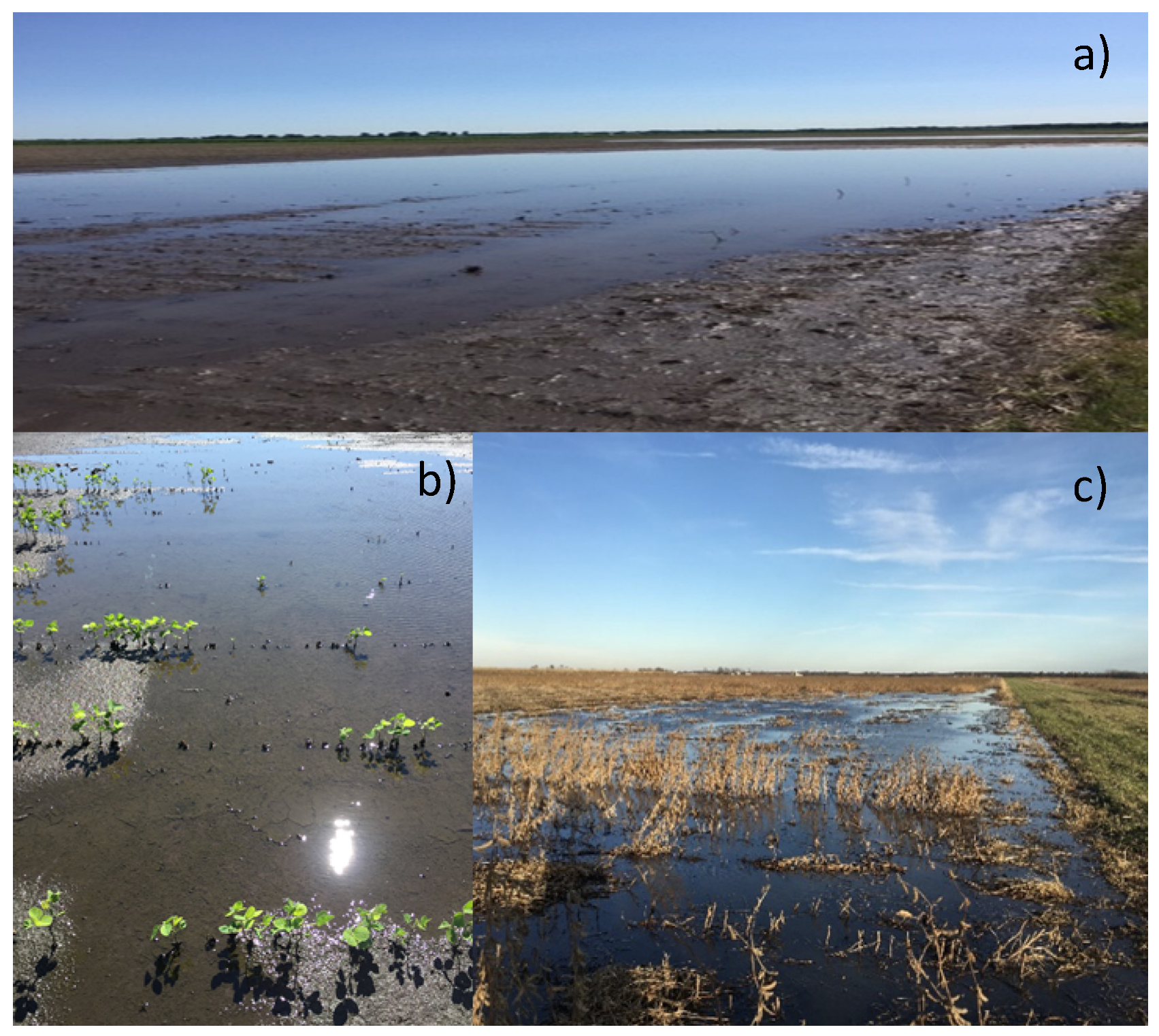 Remotesensing 13 02911 g001