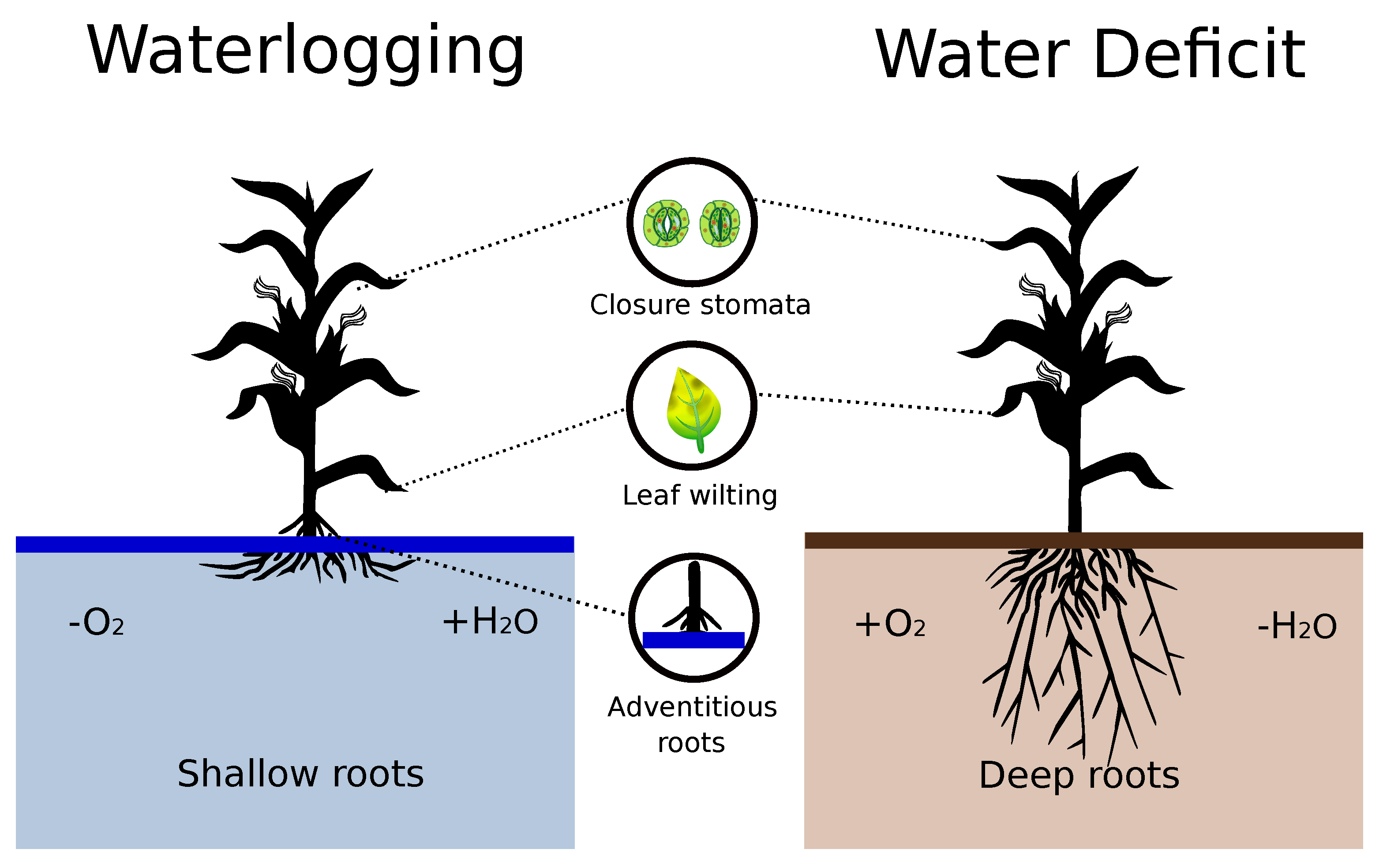 Remotesensing 13 02929 g001