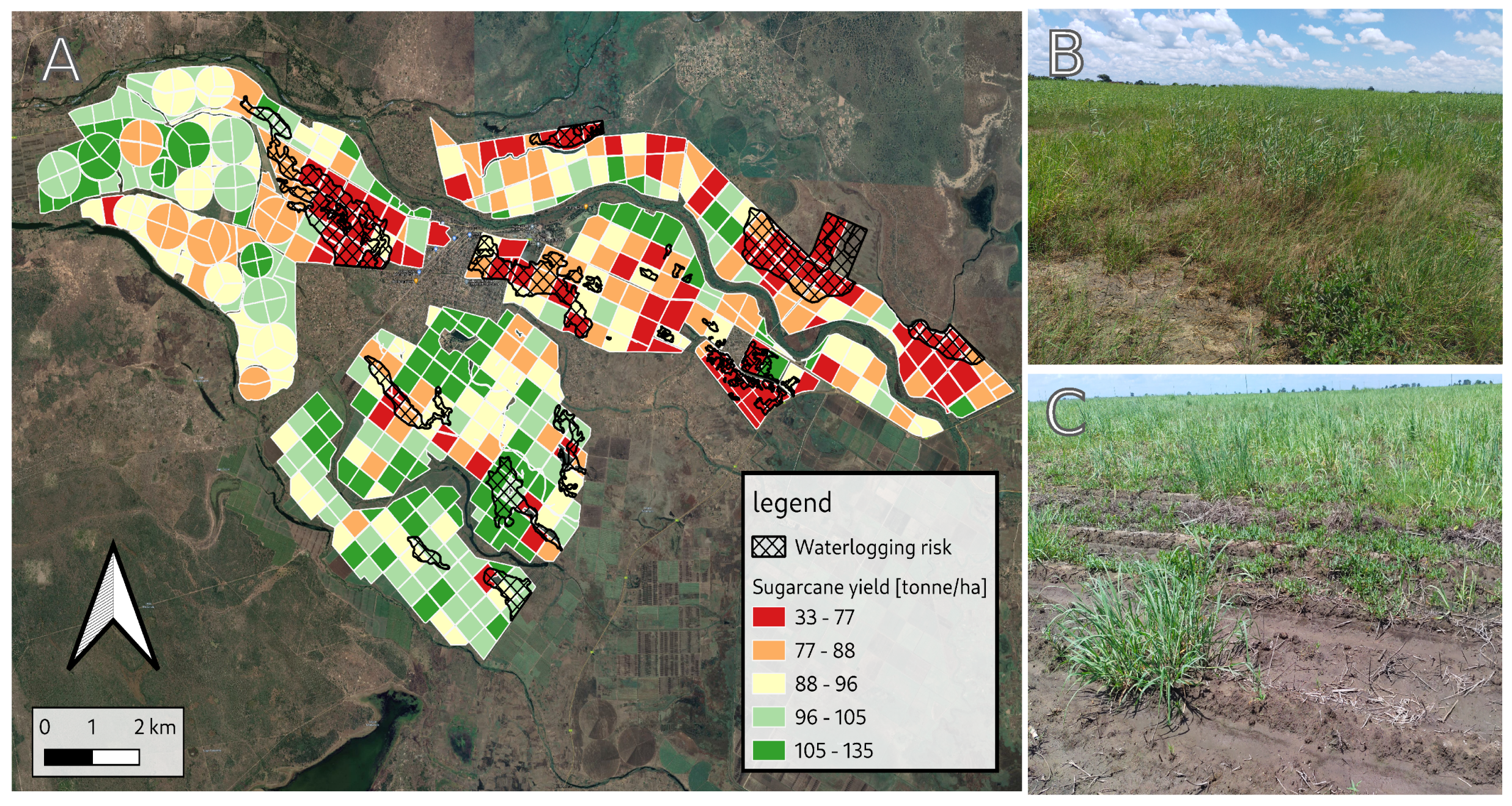 Remotesensing 13 02929 g003