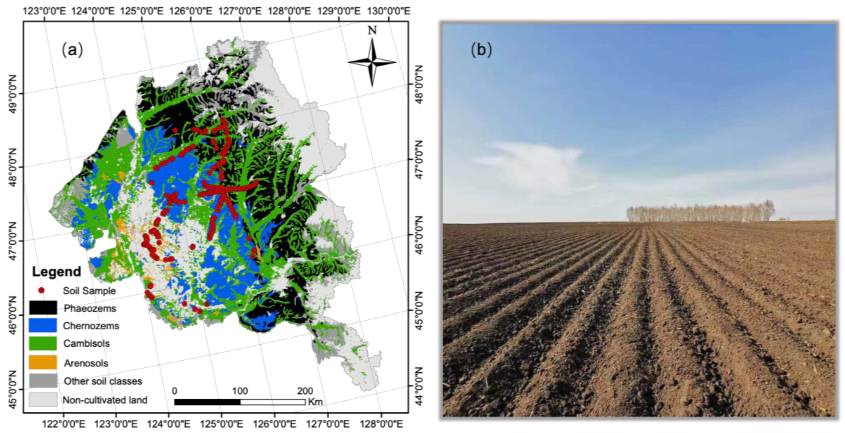 Remotesensing 13 02934 g002