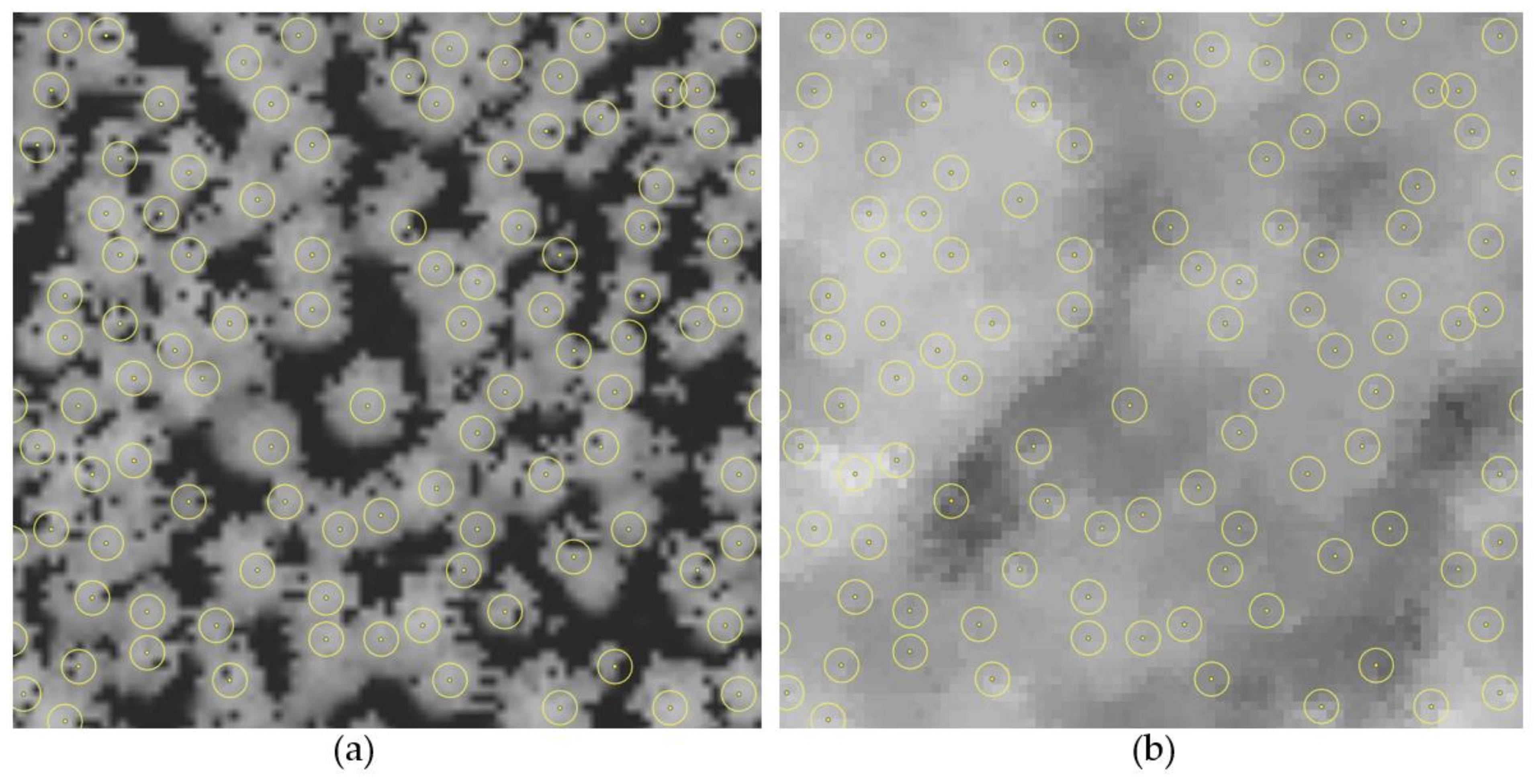 Remotesensing 13 02941 g004