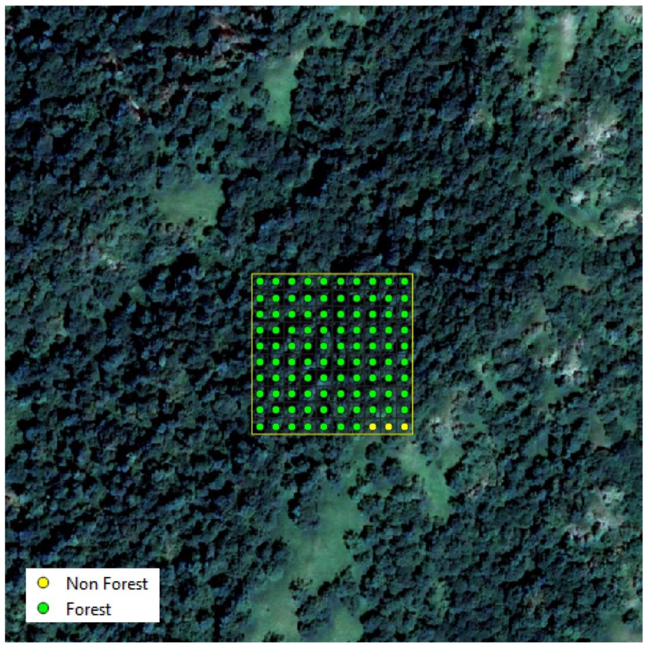 Remotesensing 13 02942 g005