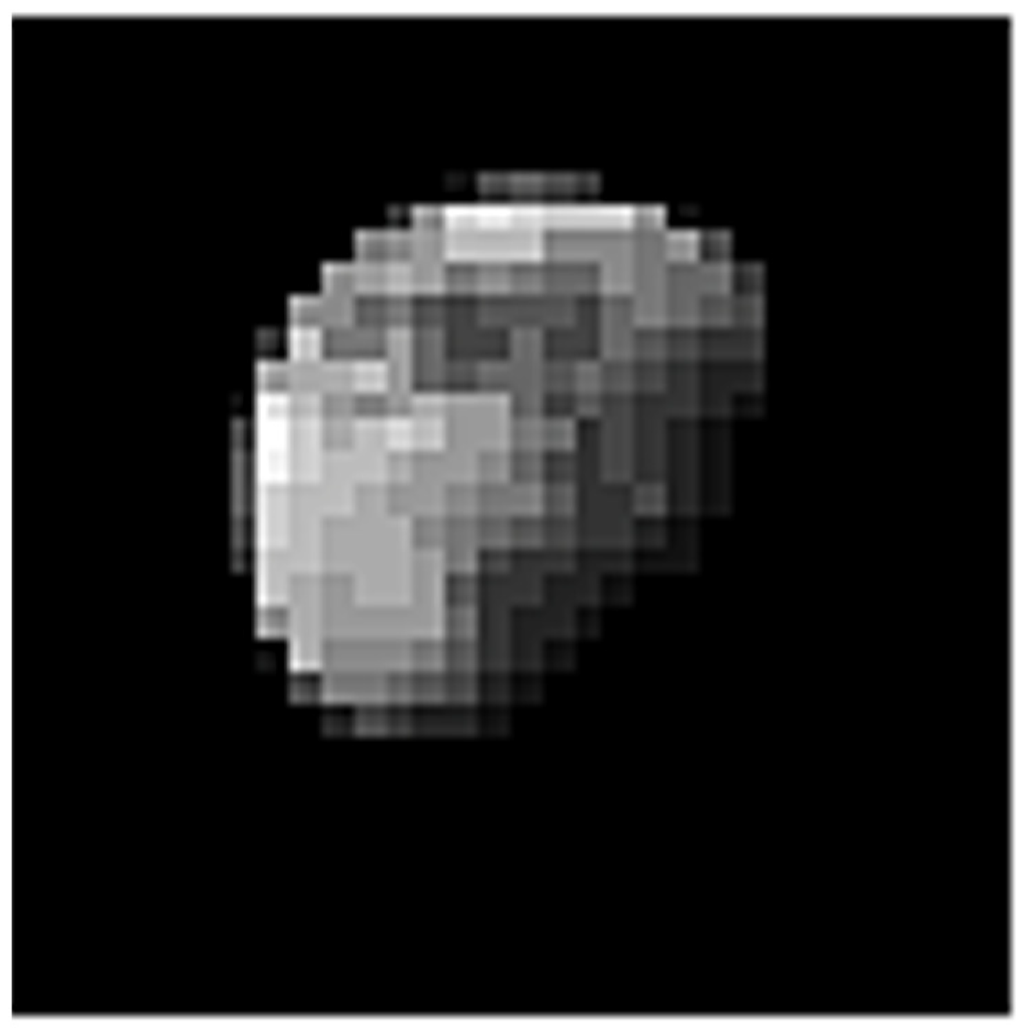 Remotesensing 13 02944 g004