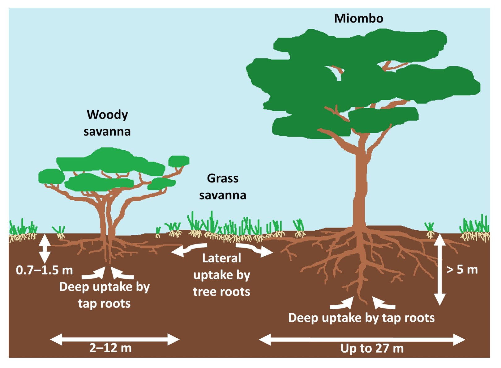 Remotesensing 13 02954 g006