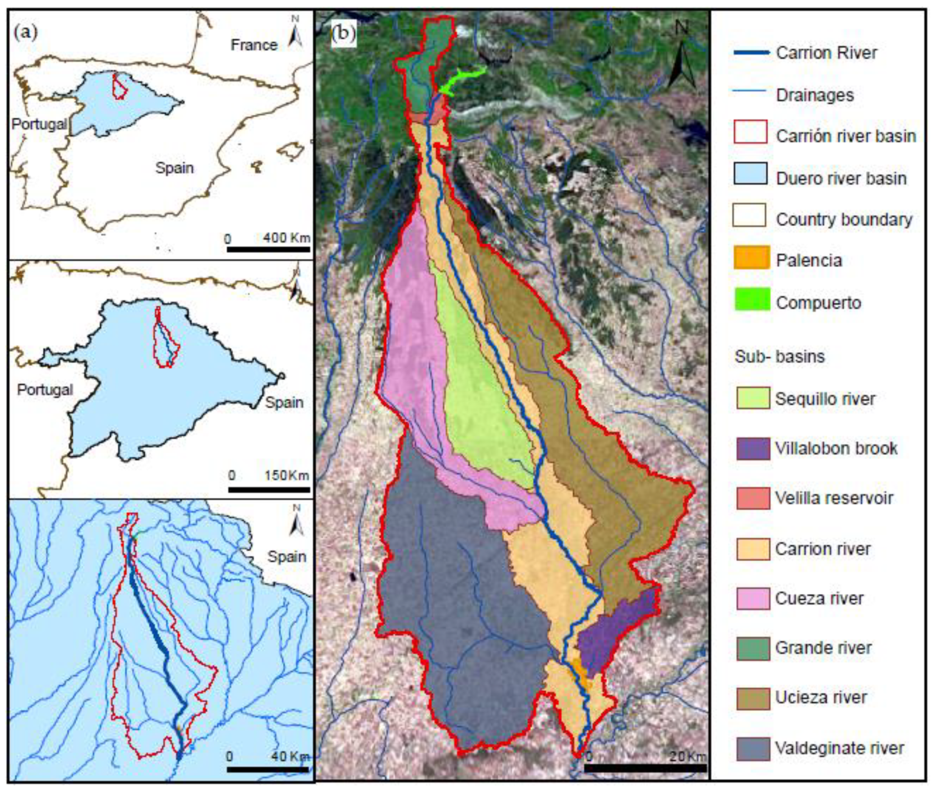 Remotesensing 13 02955 g001