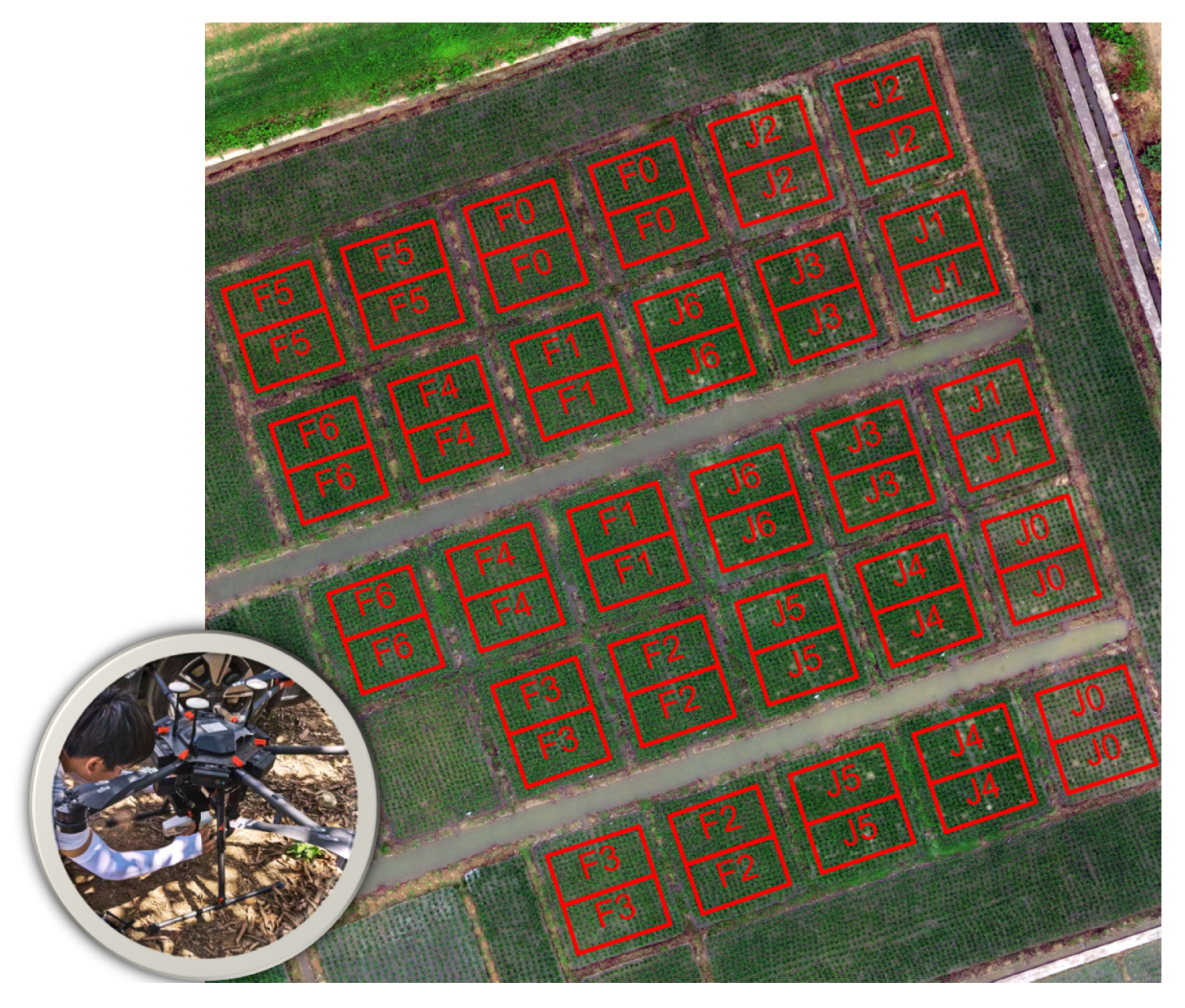 Remotesensing 13 02956 g001