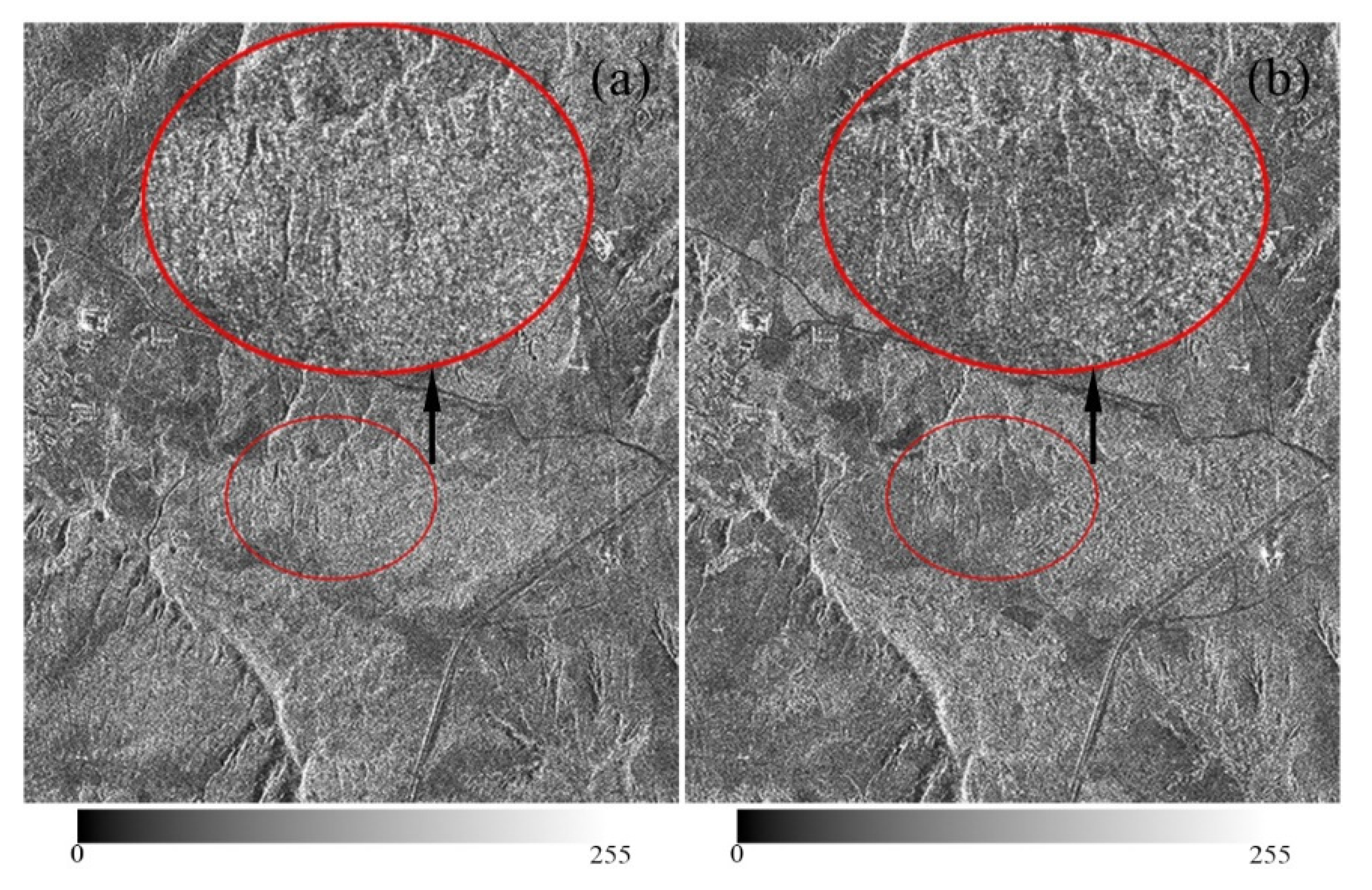 Remotesensing 13 02958 g013