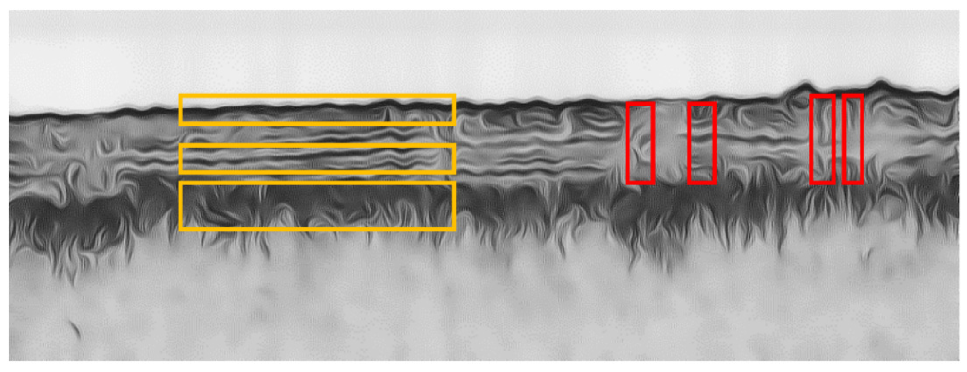 Remotesensing 13 02959 g003 Remotesensing 13 02959 g003