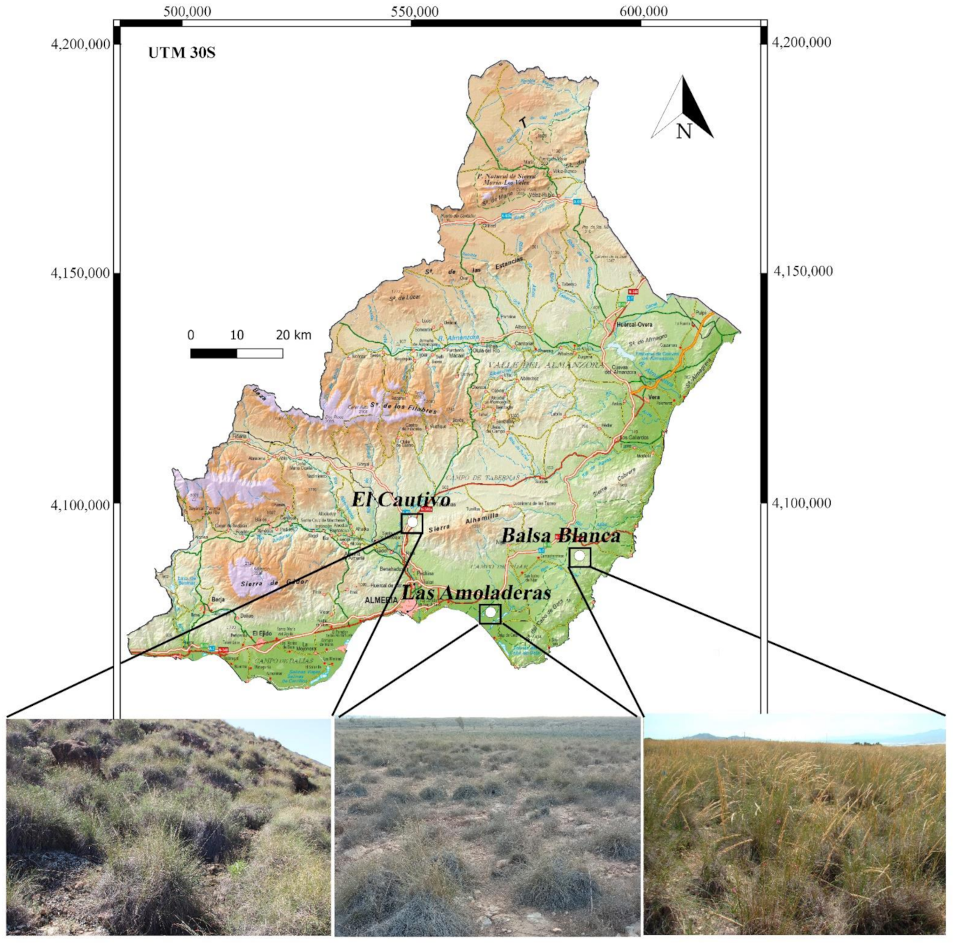 Remotesensing 13 02970 g001