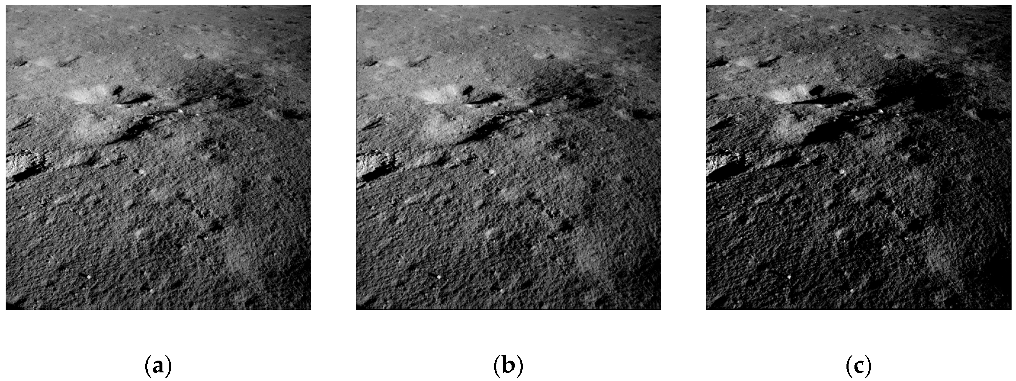 Remotesensing 13 02975 g011