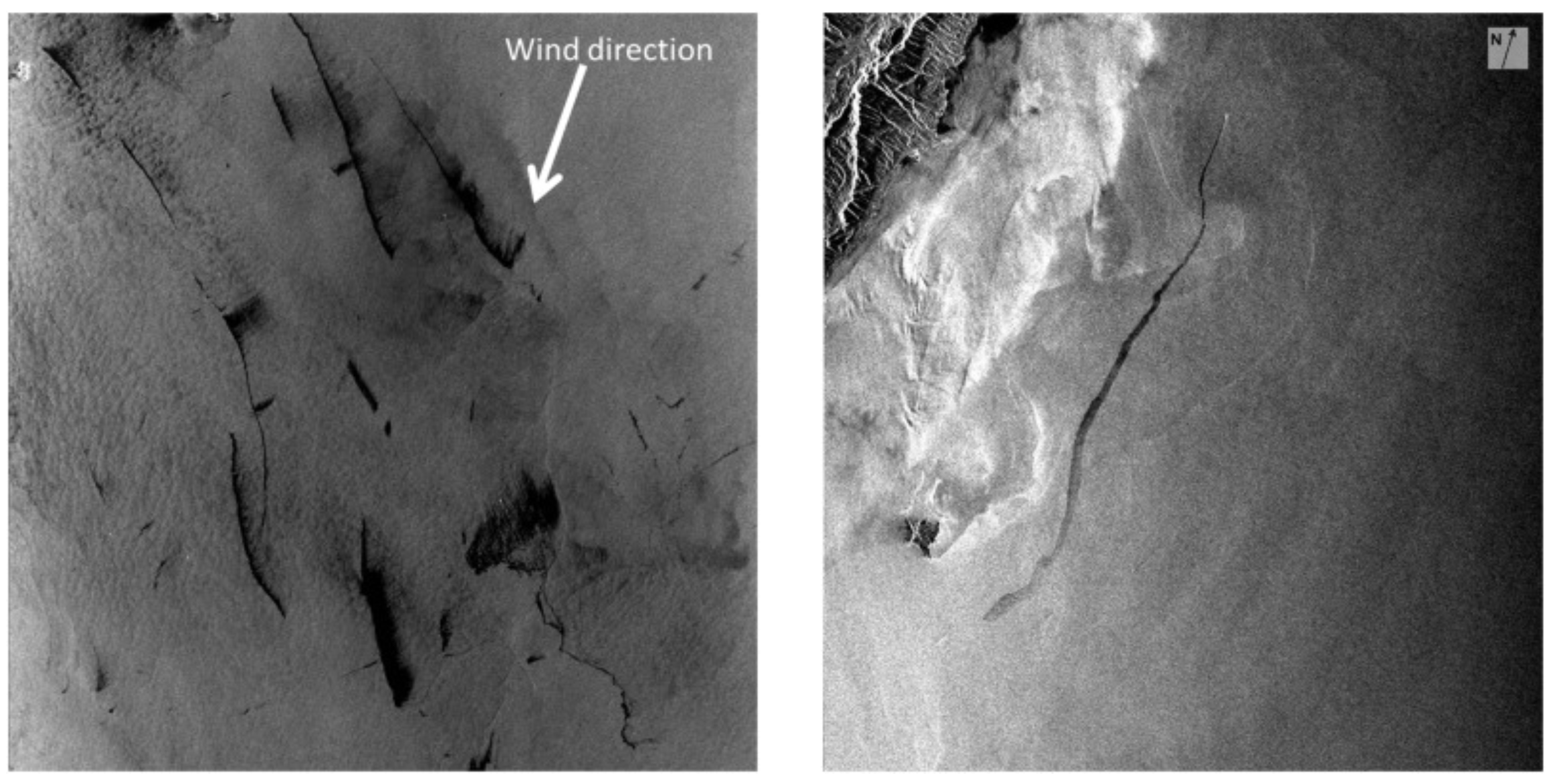 Remotesensing 13 02991 g001