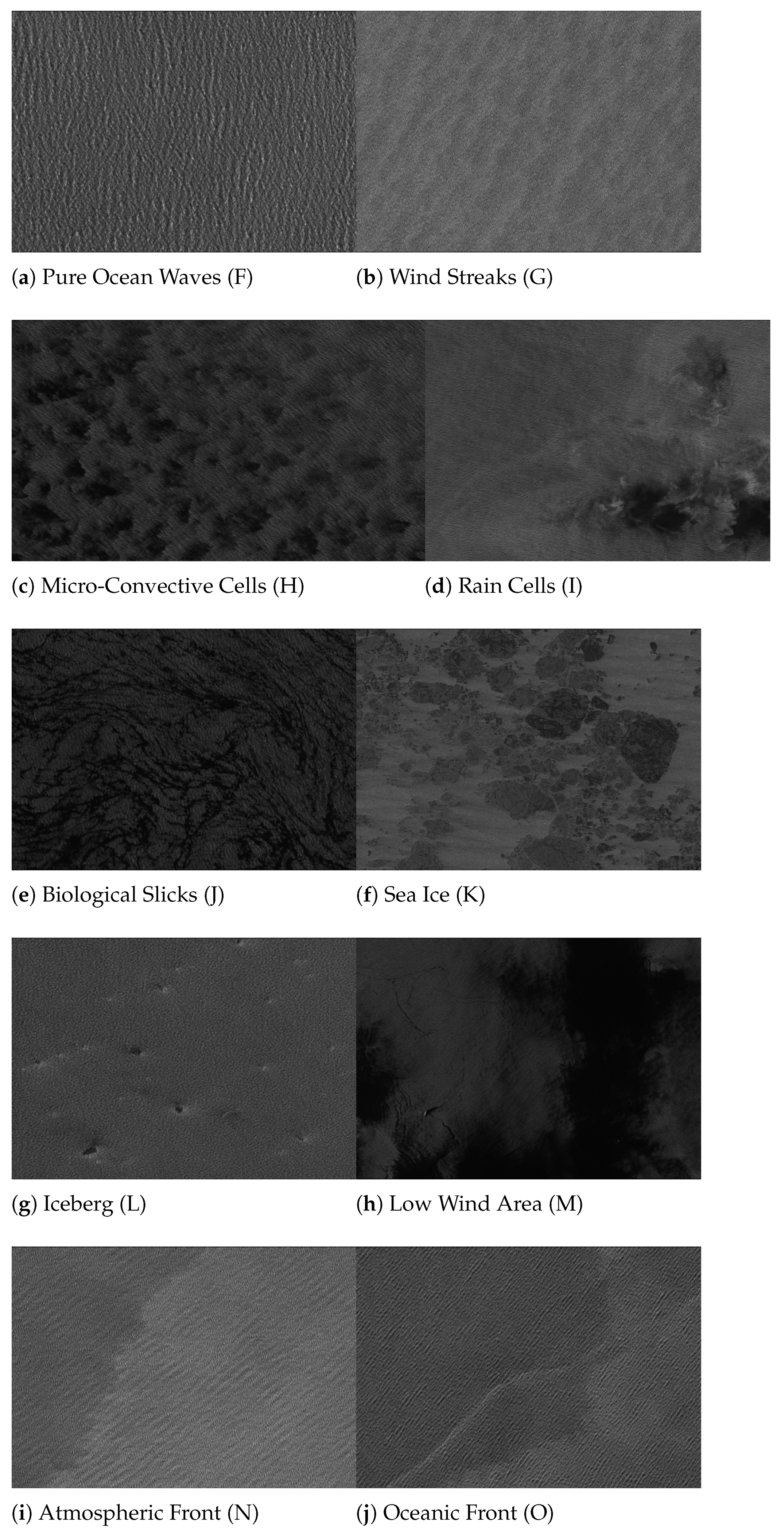 Remotesensing 13 02991 g004