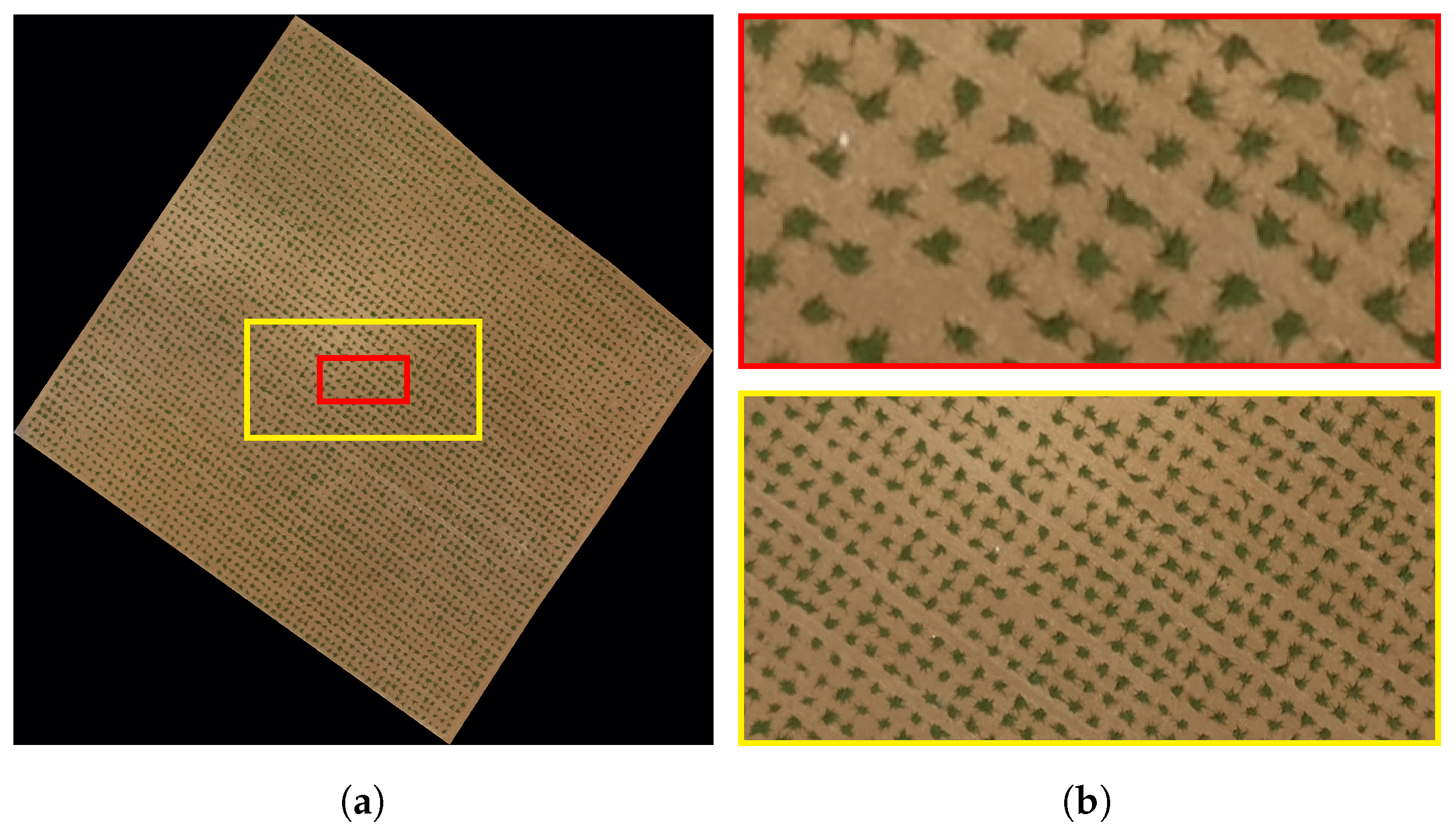 Remotesensing 13 02992 g001