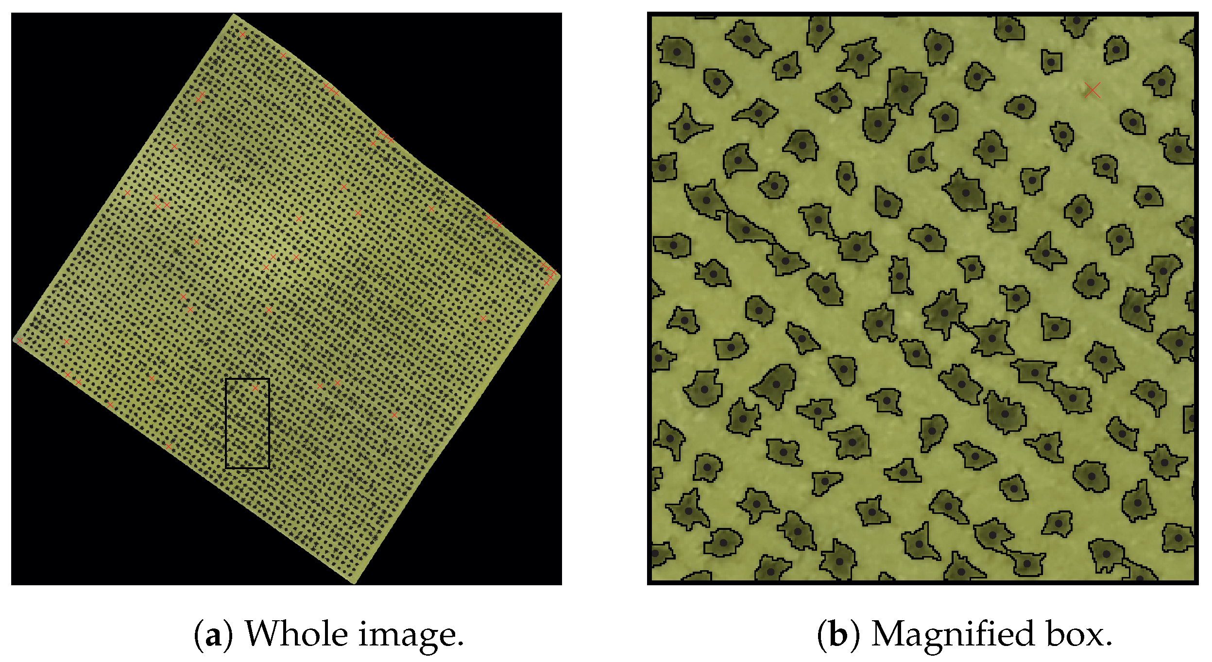 Remotesensing 13 02992 g014