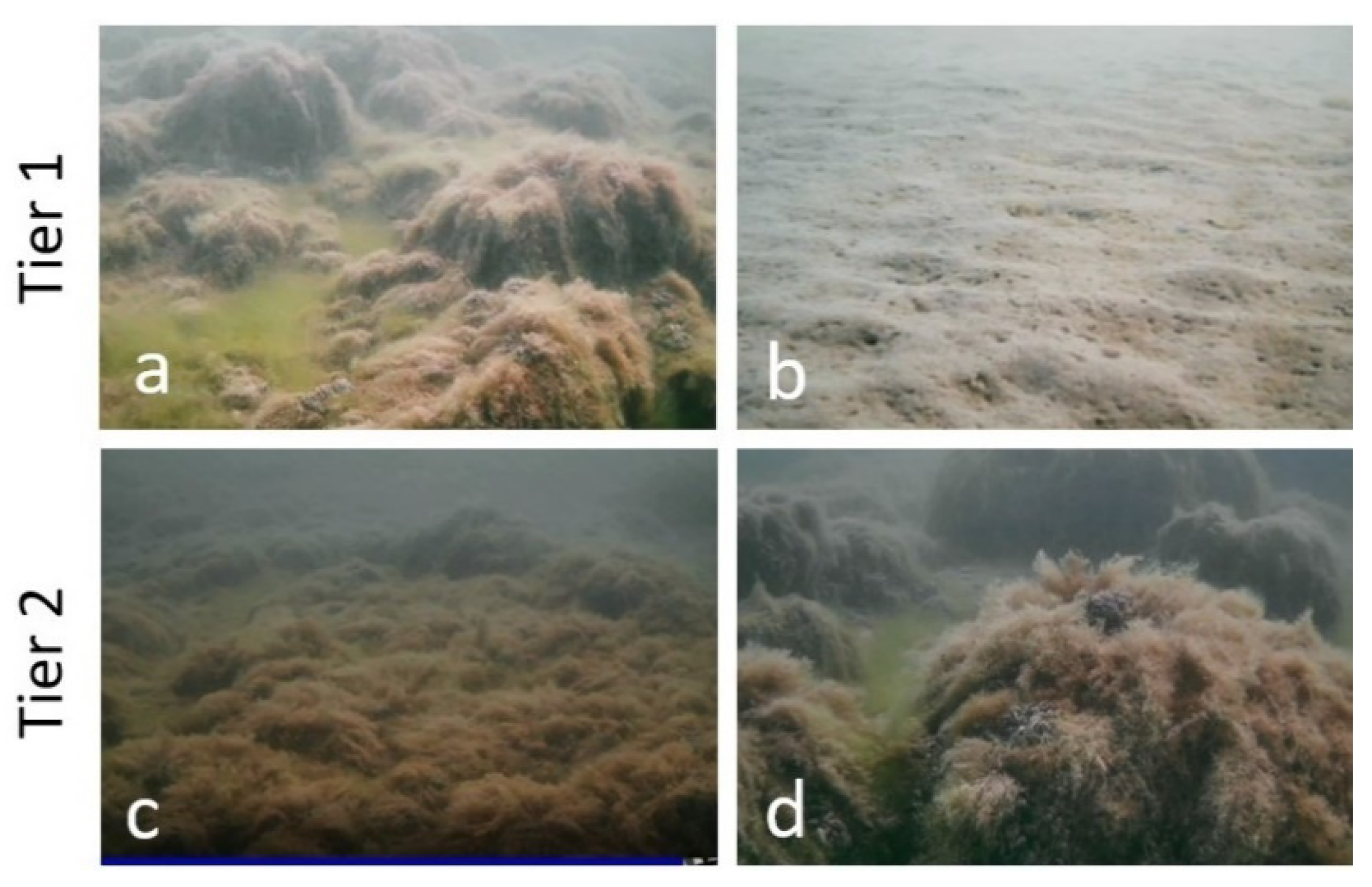 Remotesensing 13 03026 g008